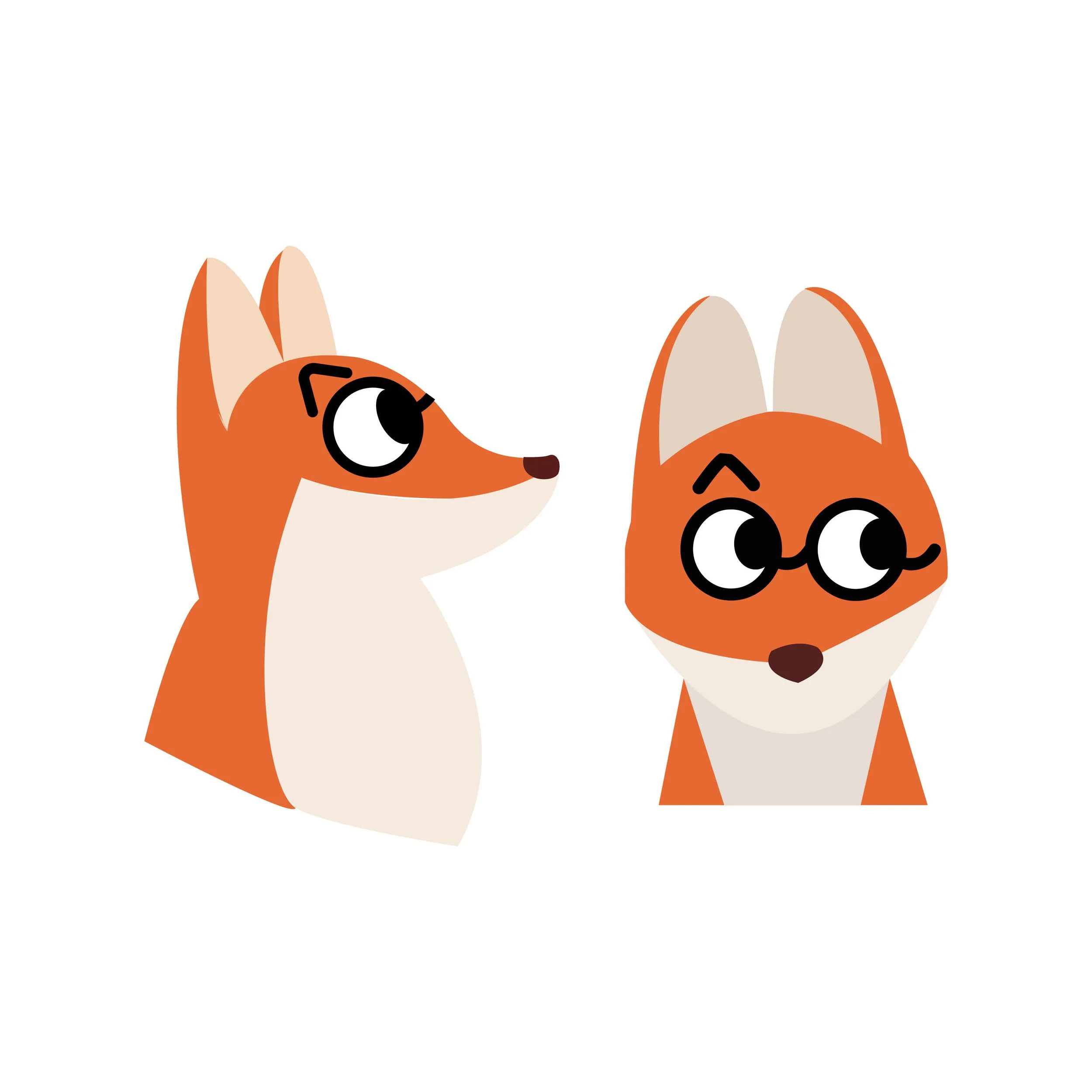animaux_zoonimô7.jpg