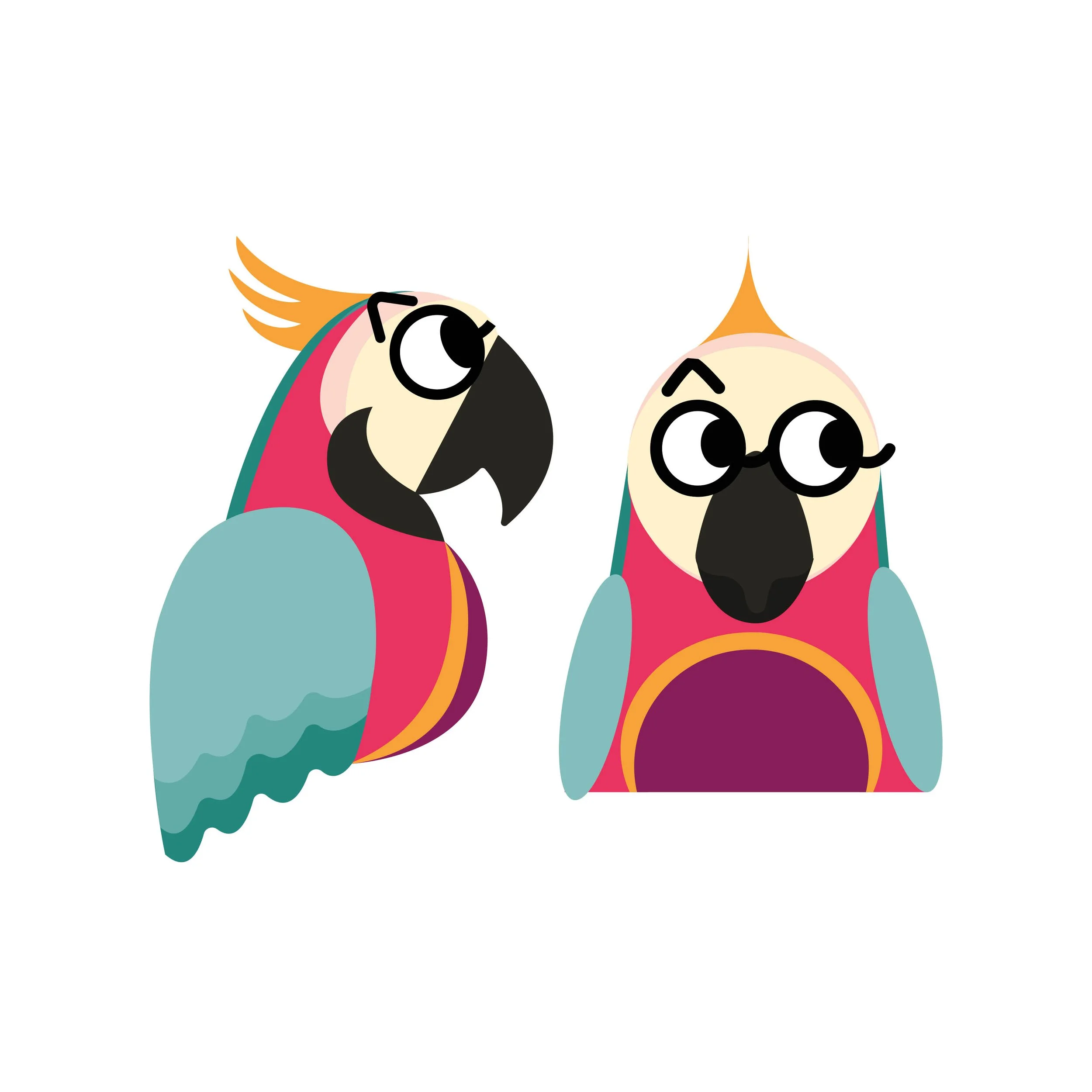animaux_zoonimô8.jpg