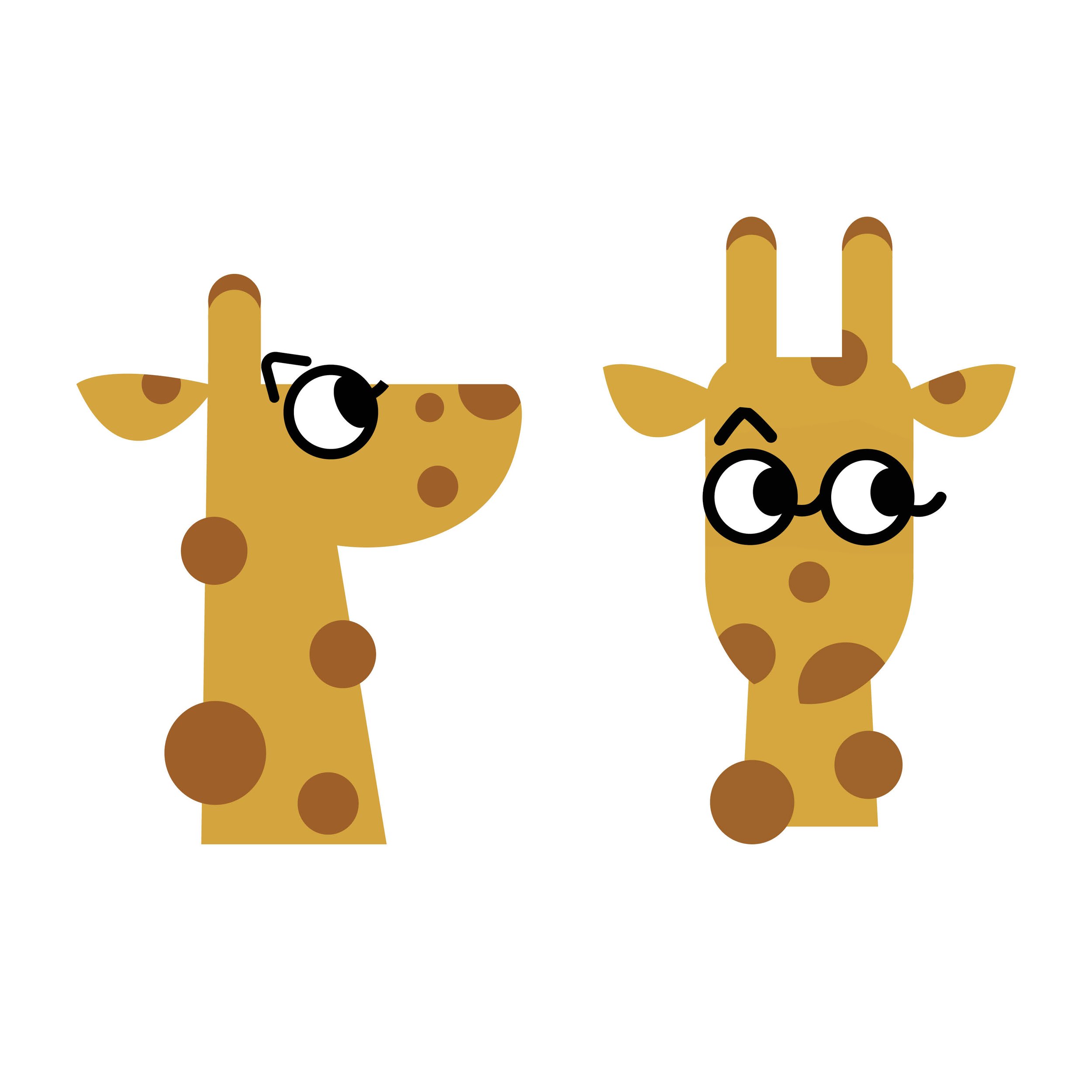 animaux_zoonimô_4.jpg