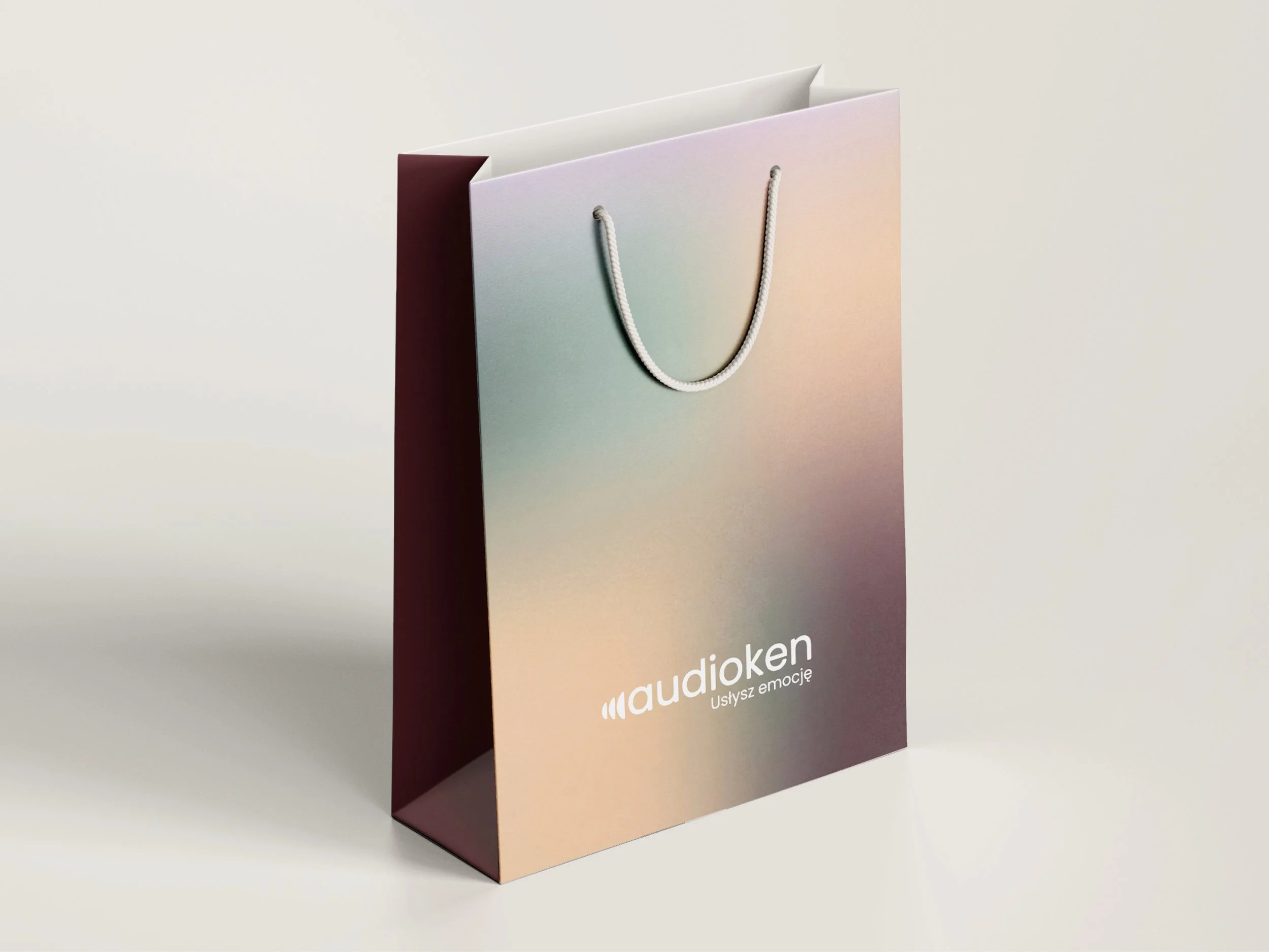 audioken-accessories.jpg