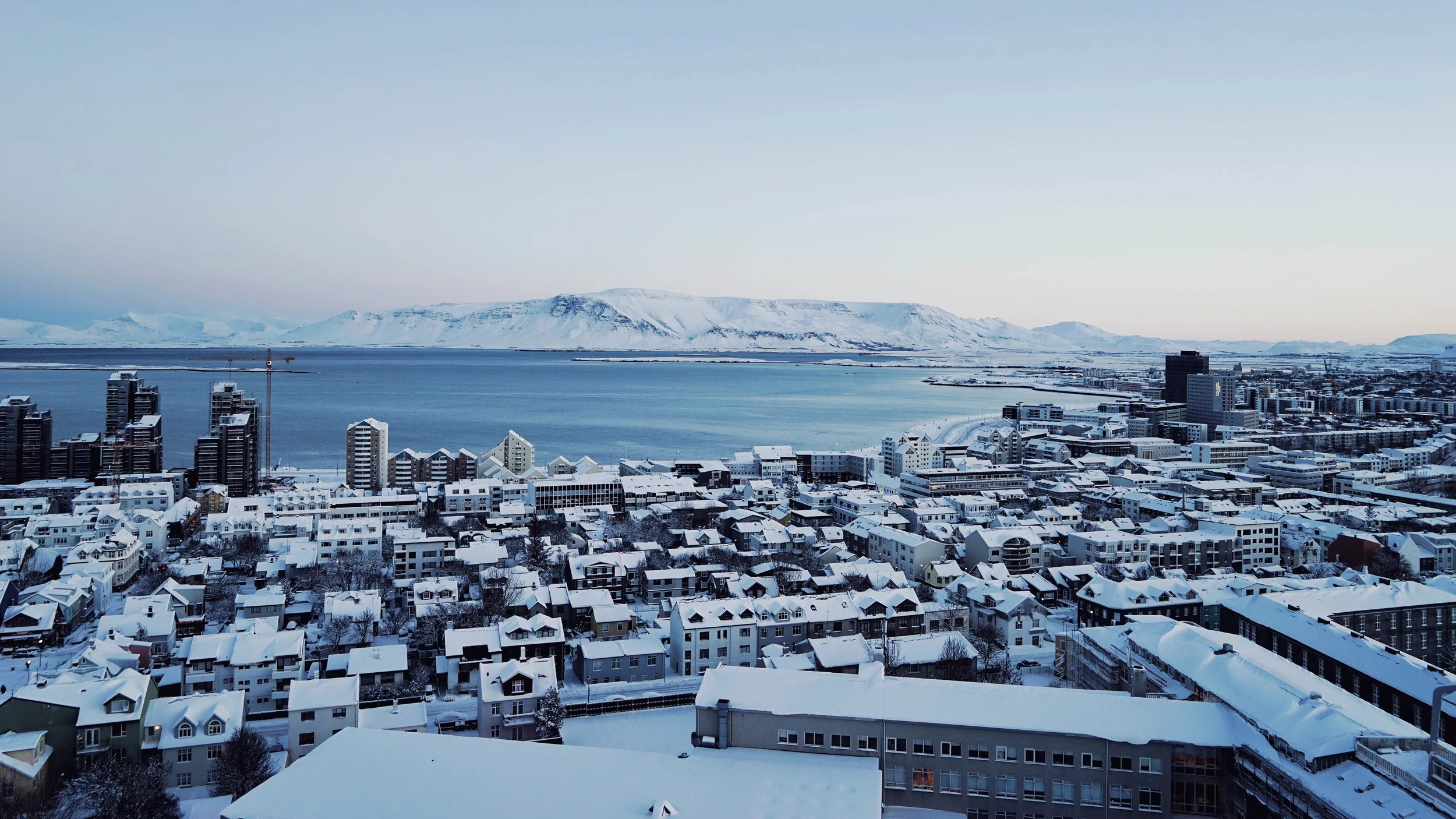 File Feb 14, 2 38 23 PM.jpeg