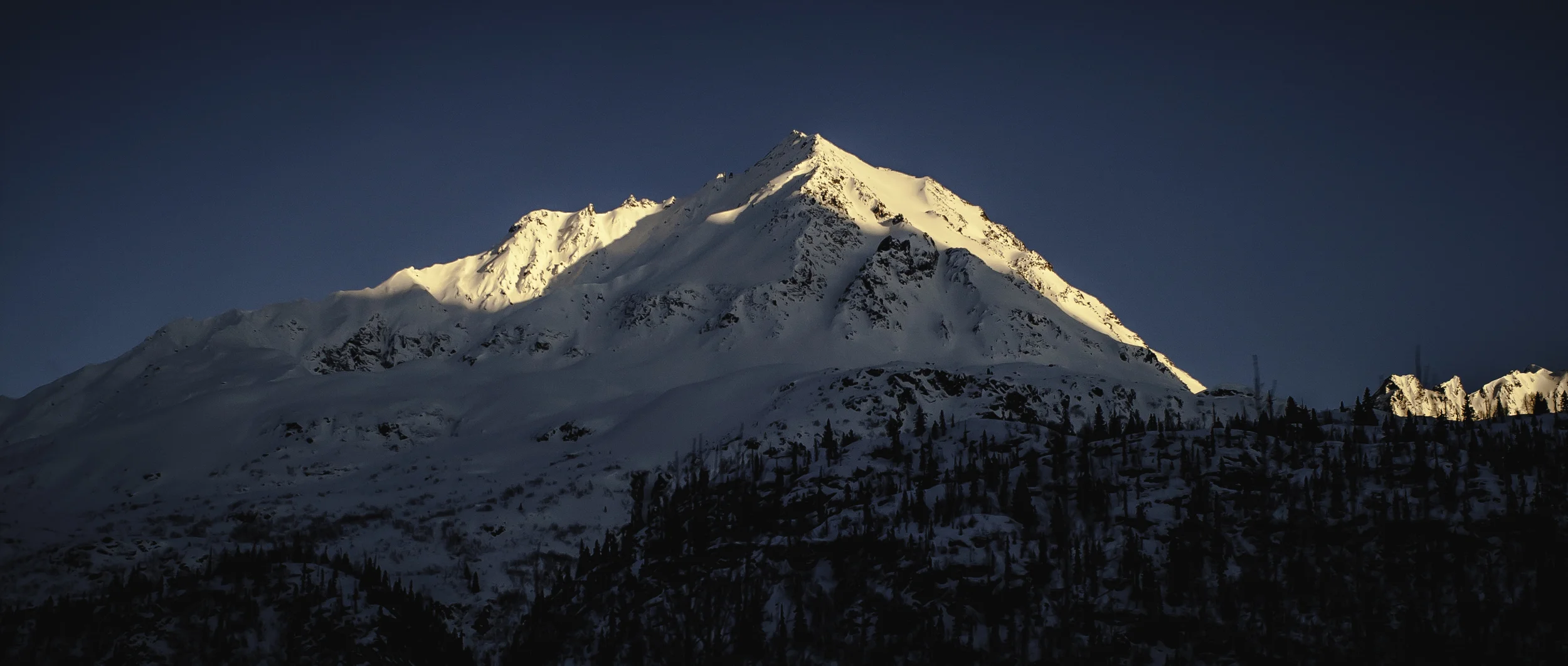 _MG_6528.jpg