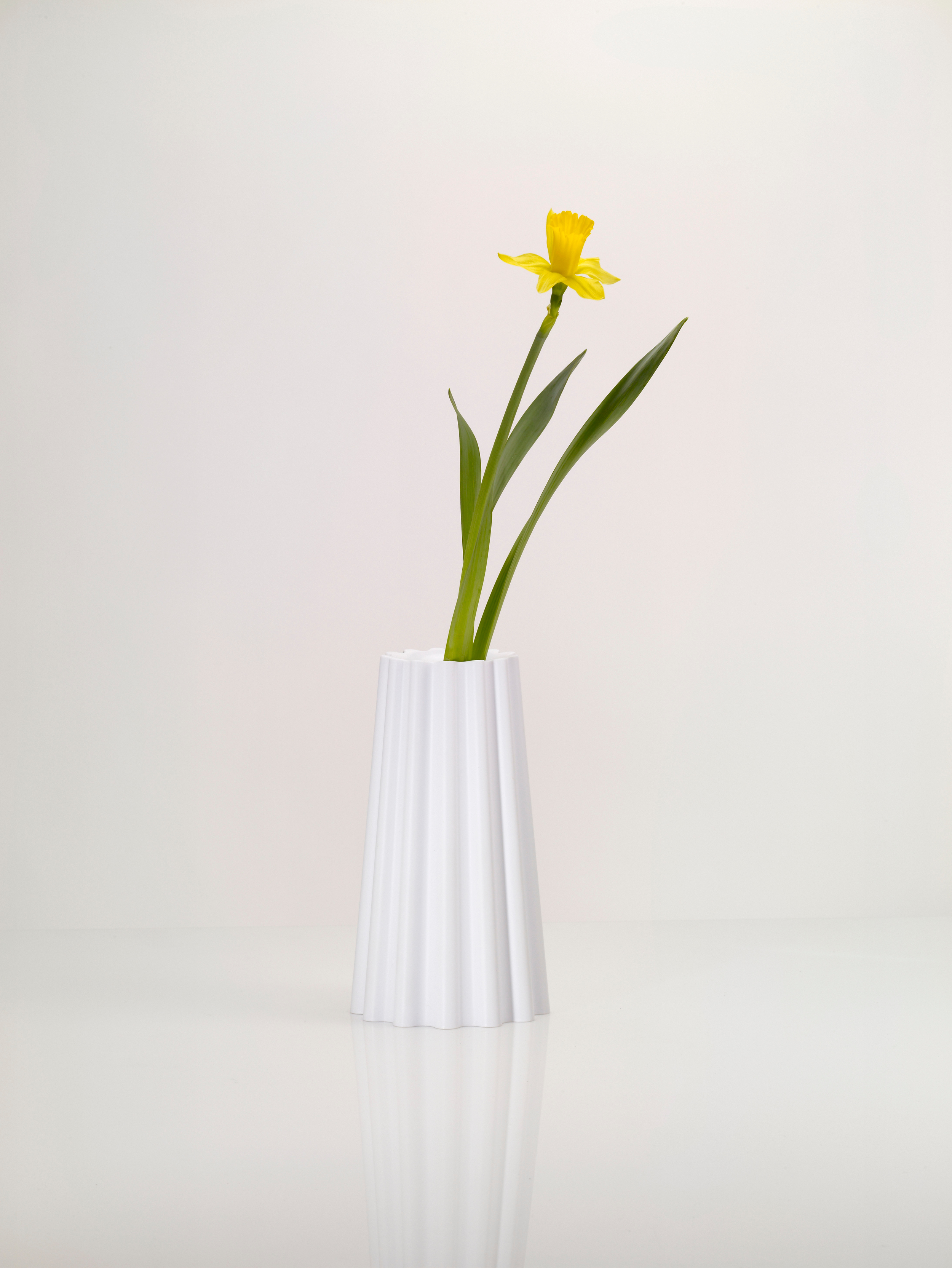one-or-a-bunch-white-one-flower.jpg