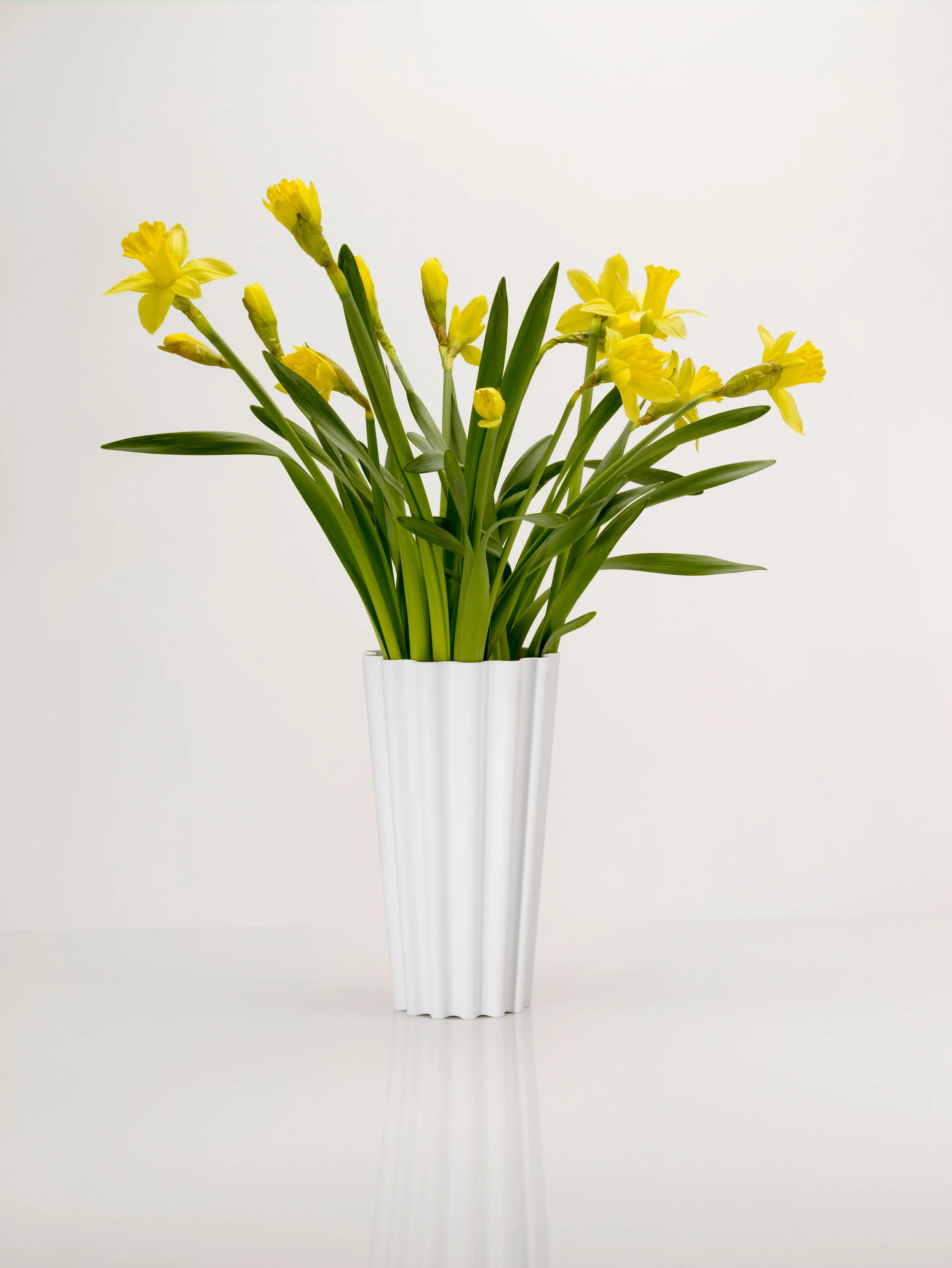 one-or-a-bunch-white-a-bunch-of-flowers.jpg