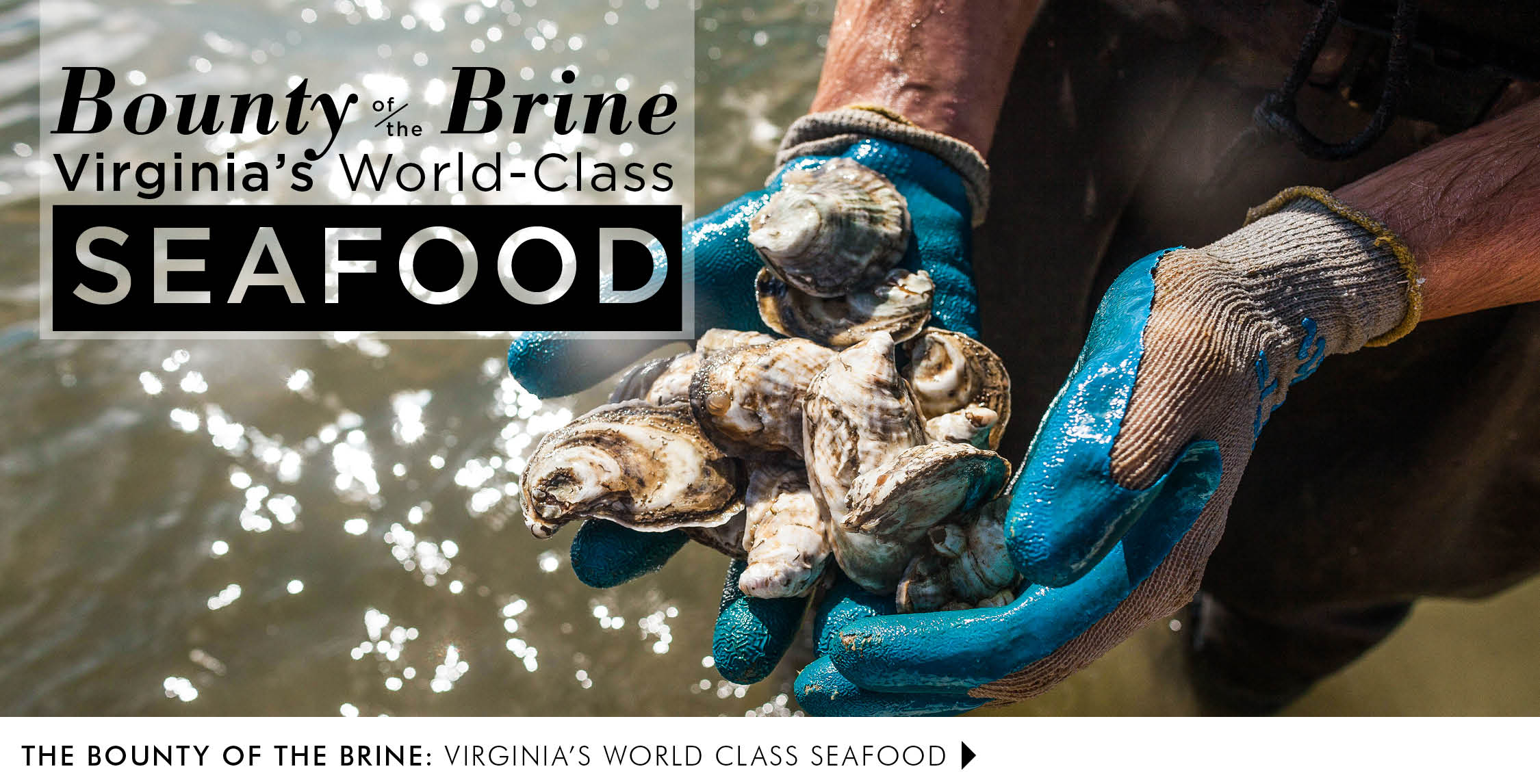 Image: Rappahannock Oyster Co.