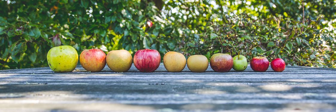 Image: Foggy Ridge Cider