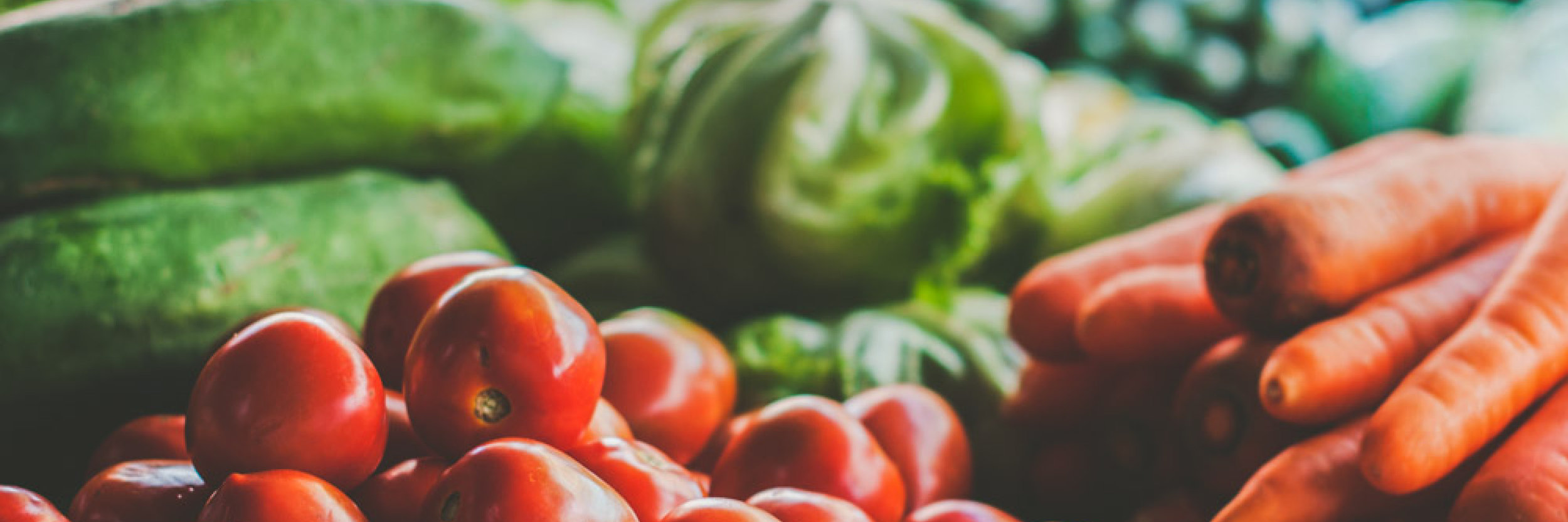 May Farm Market Images_Main Image.jpg