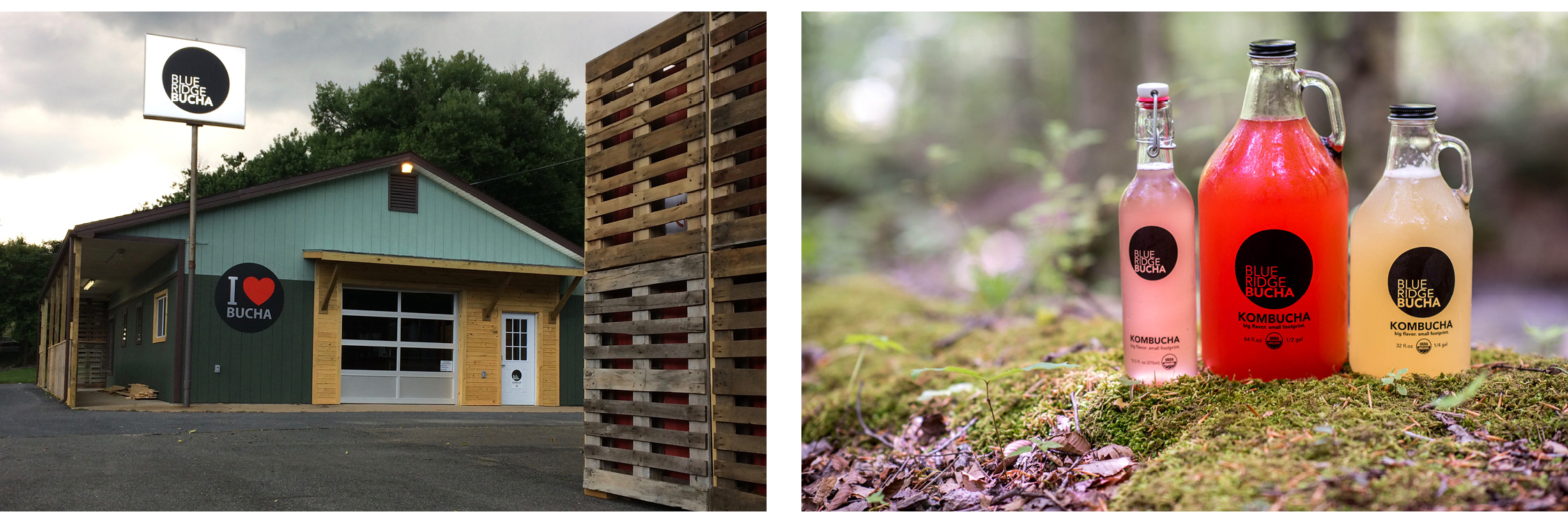 Images: Blue Ridge Bucha