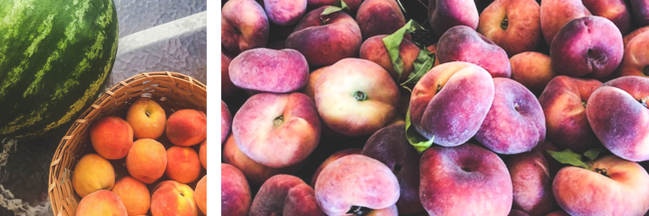 Images: Sneads Farm / Mackintosh Fruit Farm