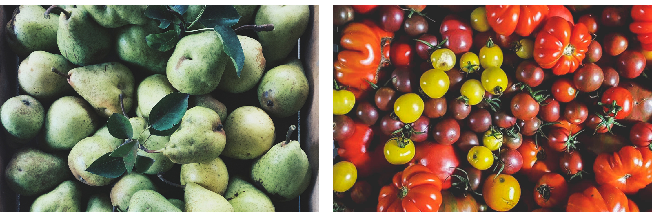 Images: Unsplash / Perennial Roots