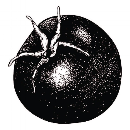 tomato.jpg