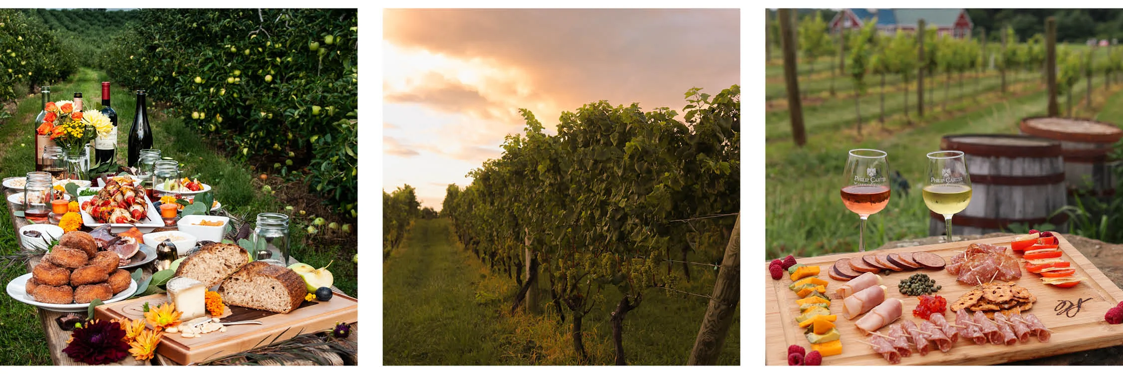 Images: VAfoodie / Virginia Wine