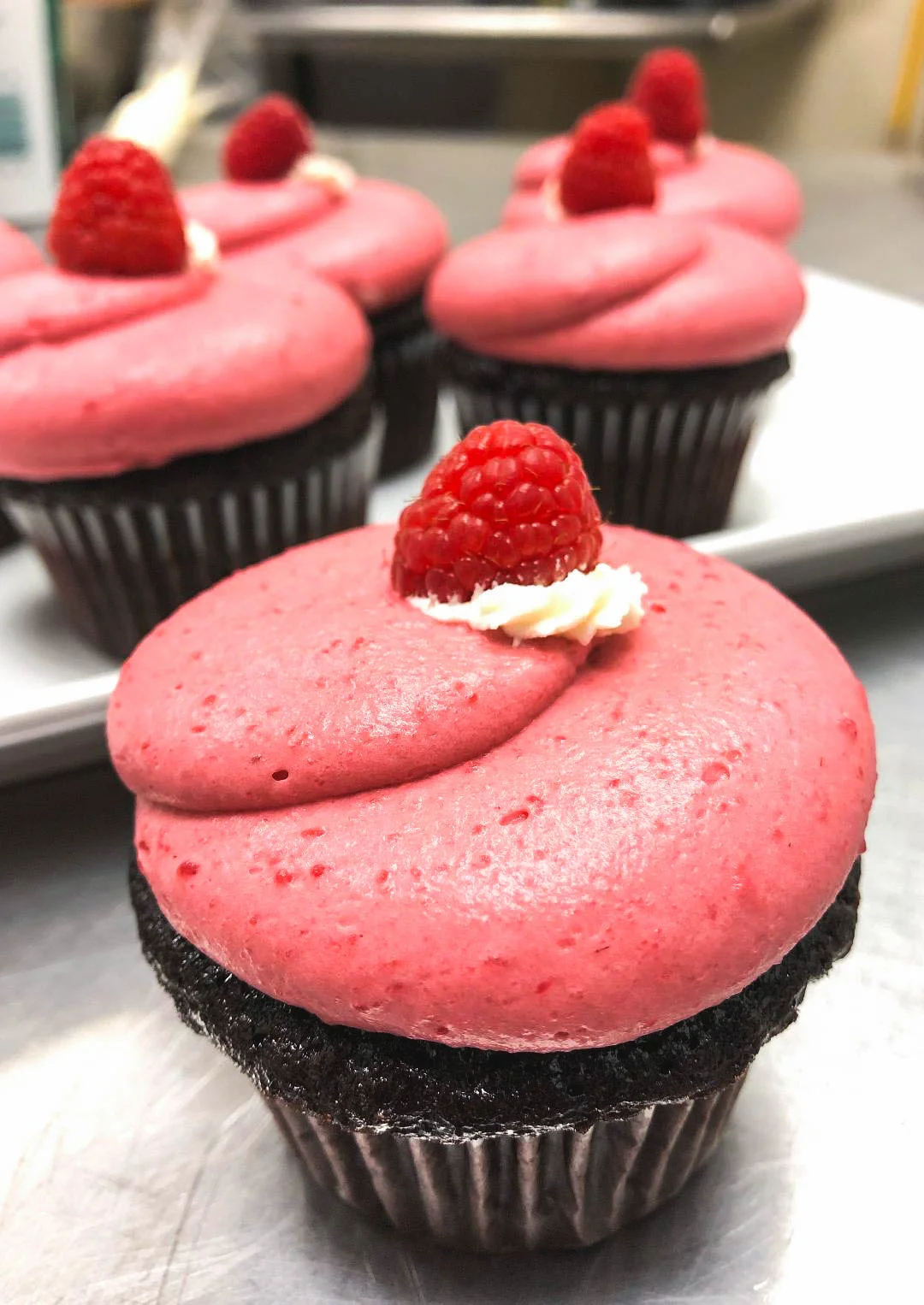 CHOCOLATE RASPBERRY CUPCAKE