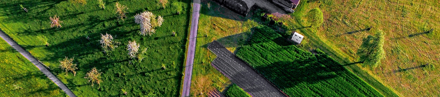 04 2019 Local Farms Story Blog ImagesREV.jpg