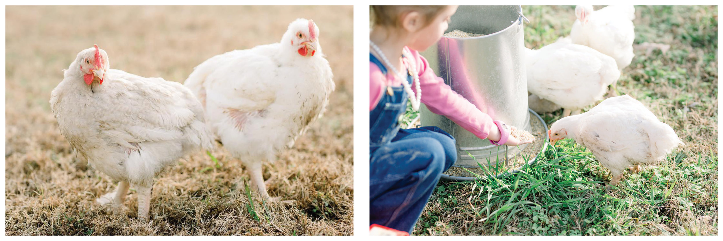 Images: Big House Farm