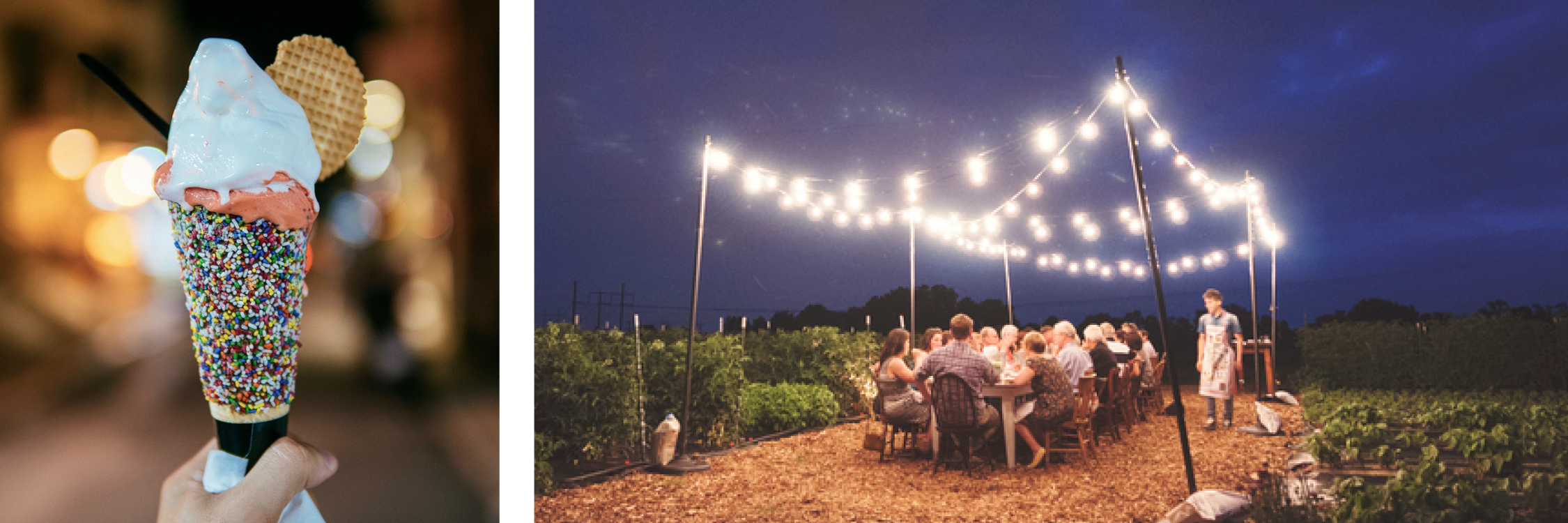 Outdoor Image: Dinner in the Field (Richmond)