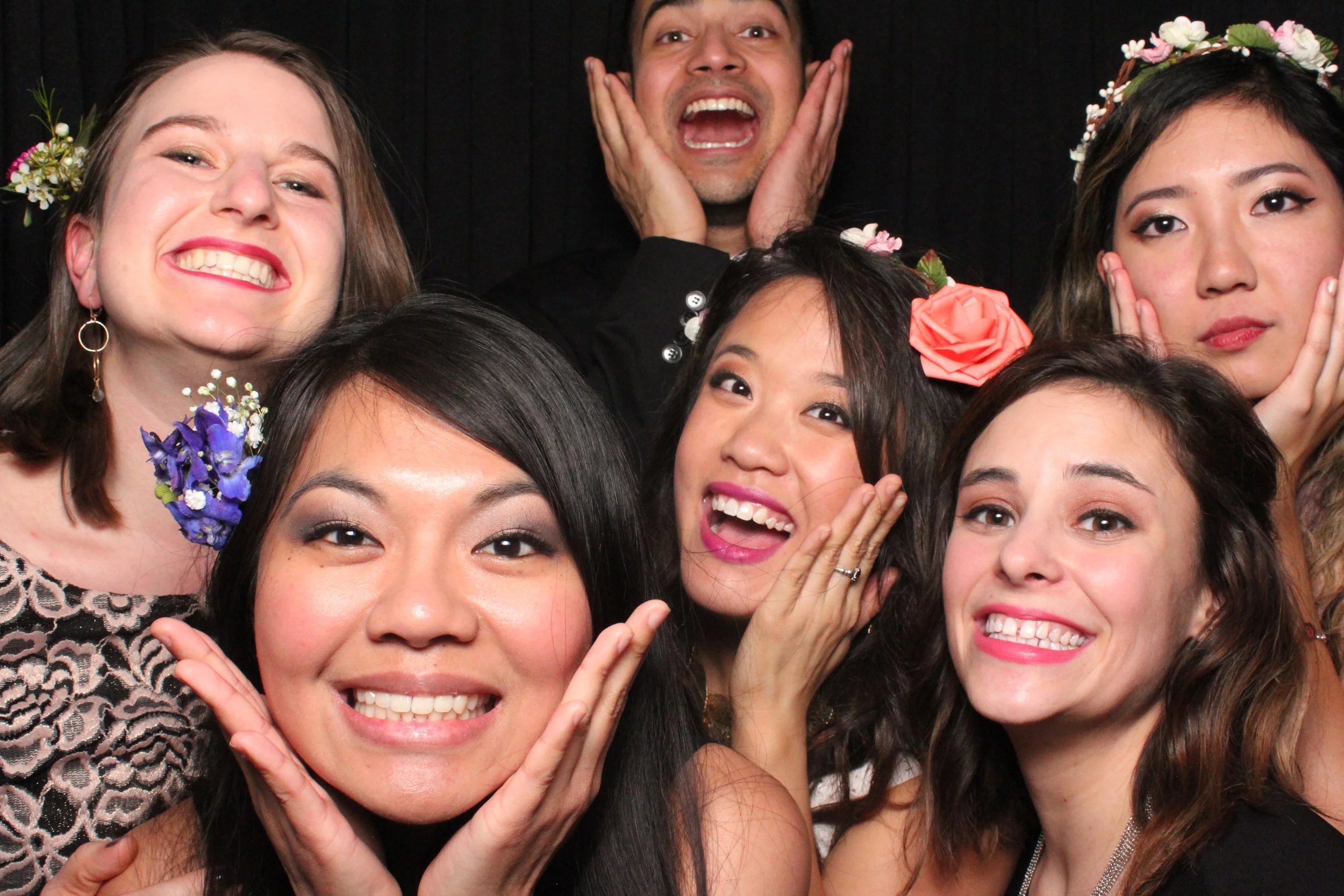 HPSA Executive Board 2016-2017. L-R: Liz Kelman, Janelle Papin, Hayatt Ali, Kim Pham, Haley Haddad, Pat Oungpasuk