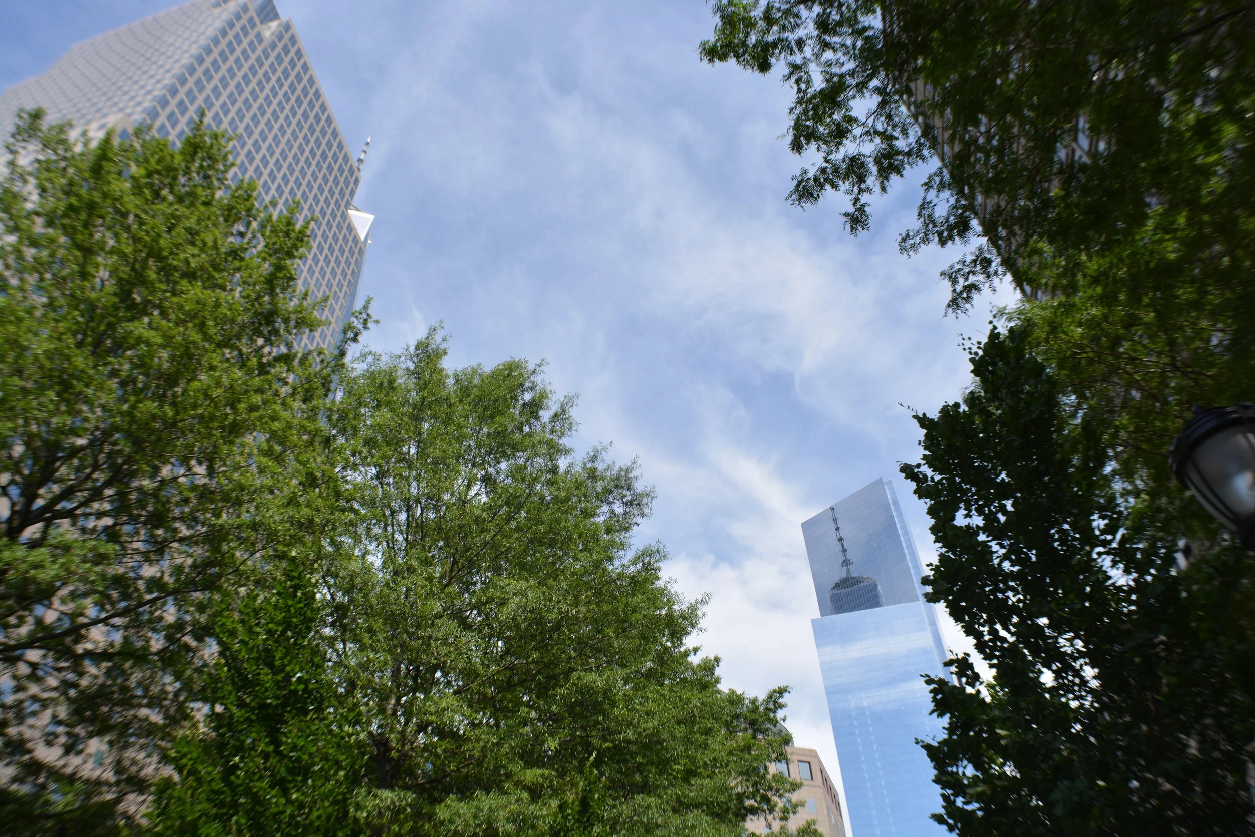 All Photos - 589 of 2160.jpg