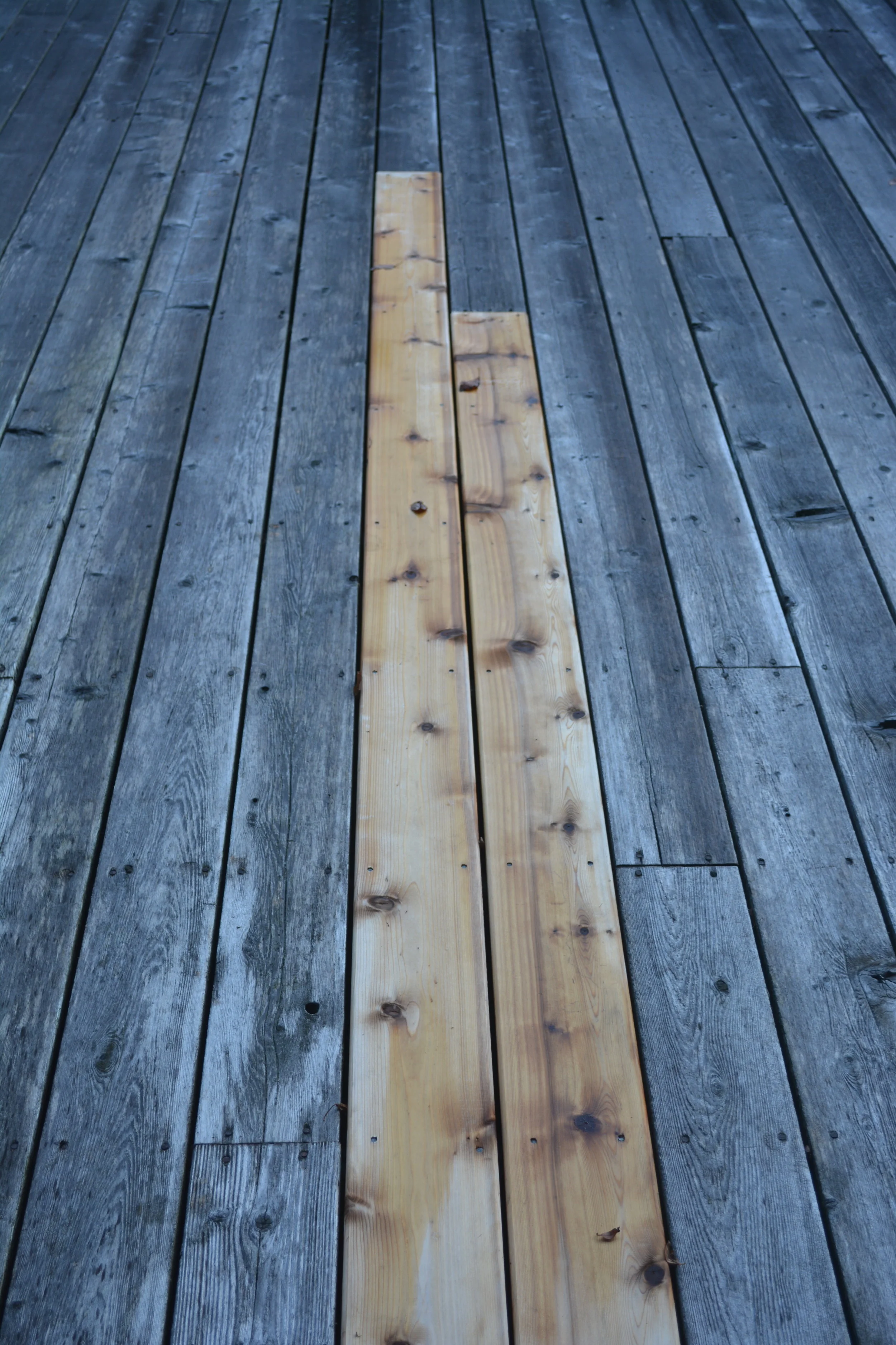 Yellow Grey Wood 1, Hamptons 1