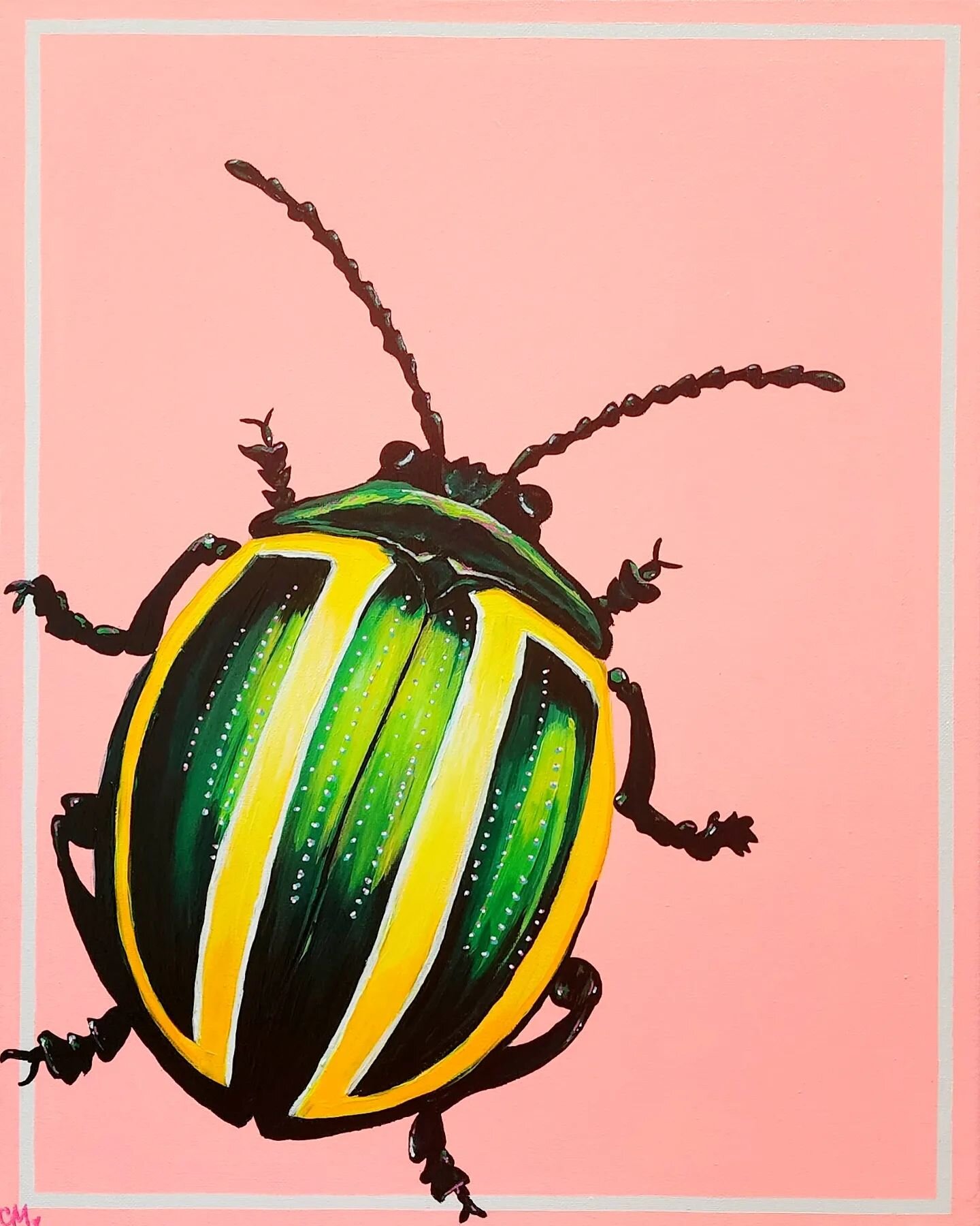 this chonky leaf beetle is one of my faves from the recent collection - I love his round little body and bright colors!

16 x 20 acrylic on canvas original 
available today via ig story sale!
$350

I used @liquitexofficial &amp; @posca_usa to bring t