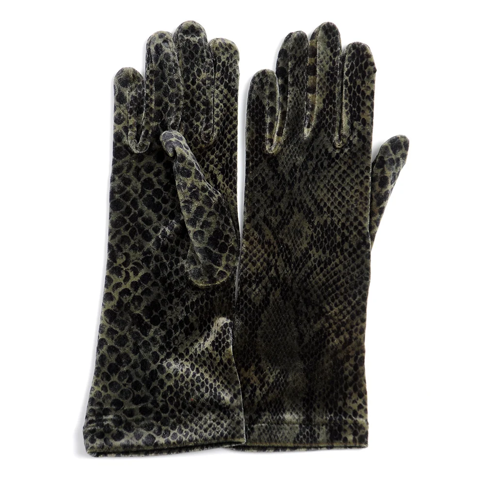 G 504 (Olive Python)