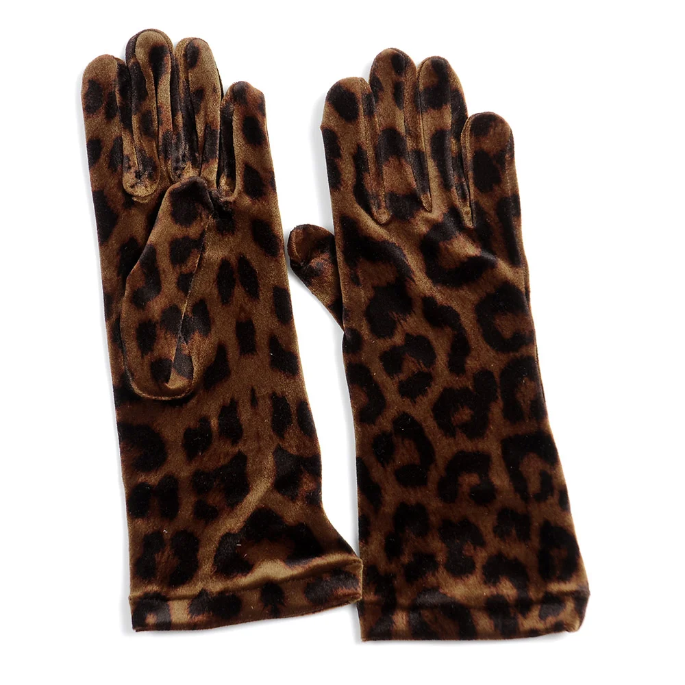 G 426/3 (Leopard)