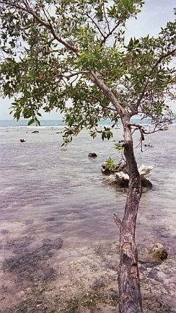 Look!  A treasury list on Etsy! 