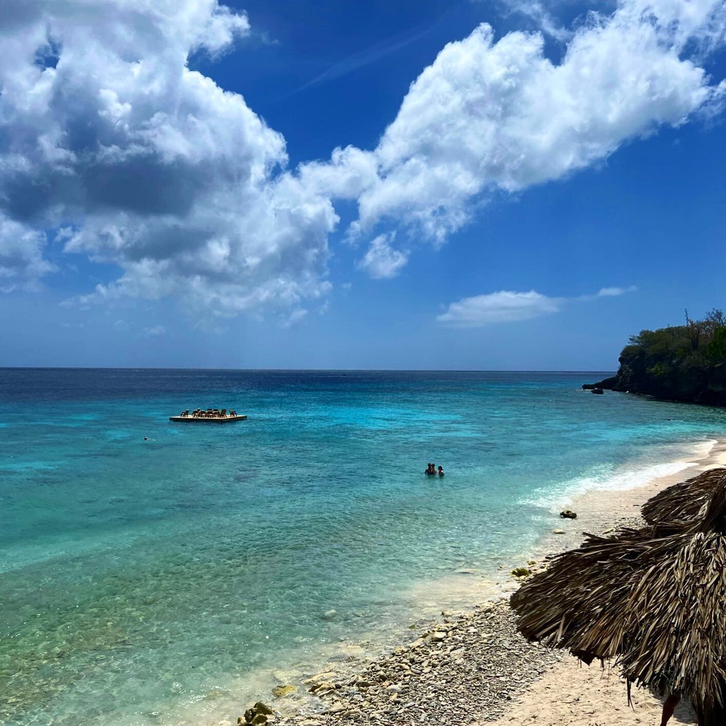 Teaching them the value of swimming out beyond the reef.  #moana #artbymegantravels #curacao