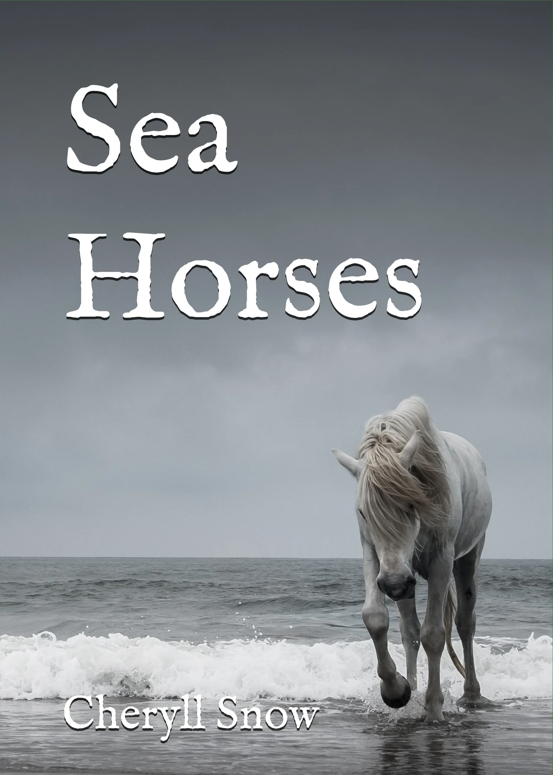 Sea Horses Back Cover Spine and Front Cover (2).jpg