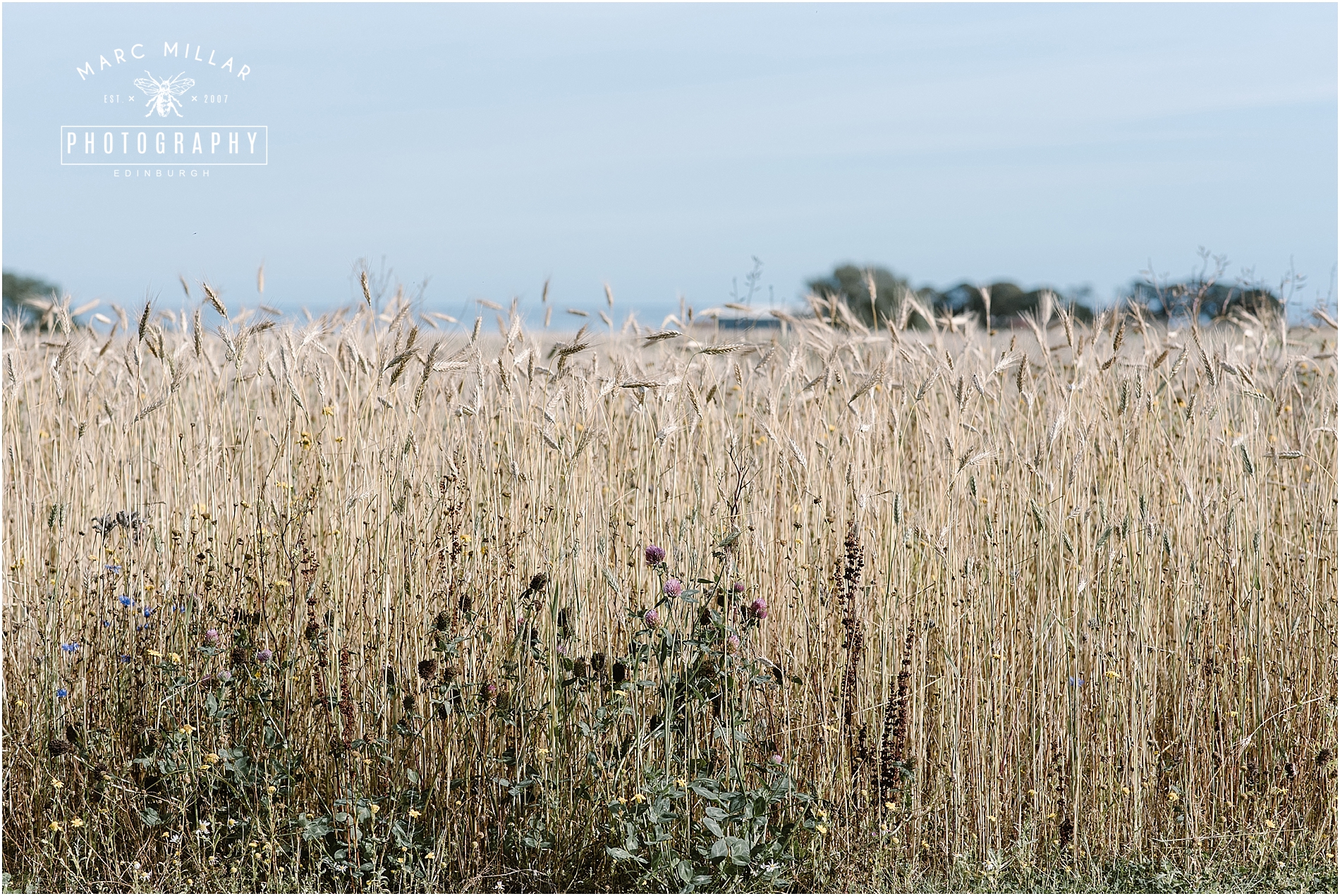 Kinkell Byre Wedding Shoot by Marc Millar Photography