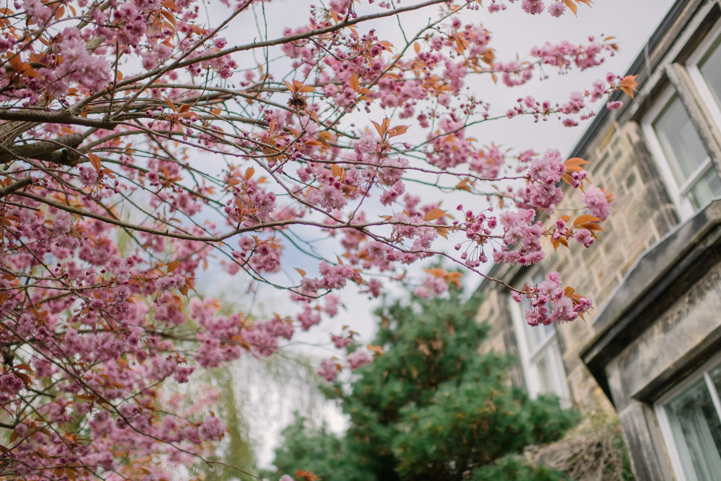 Summerhall Edinburgh Wedding by Marc Millar Photography