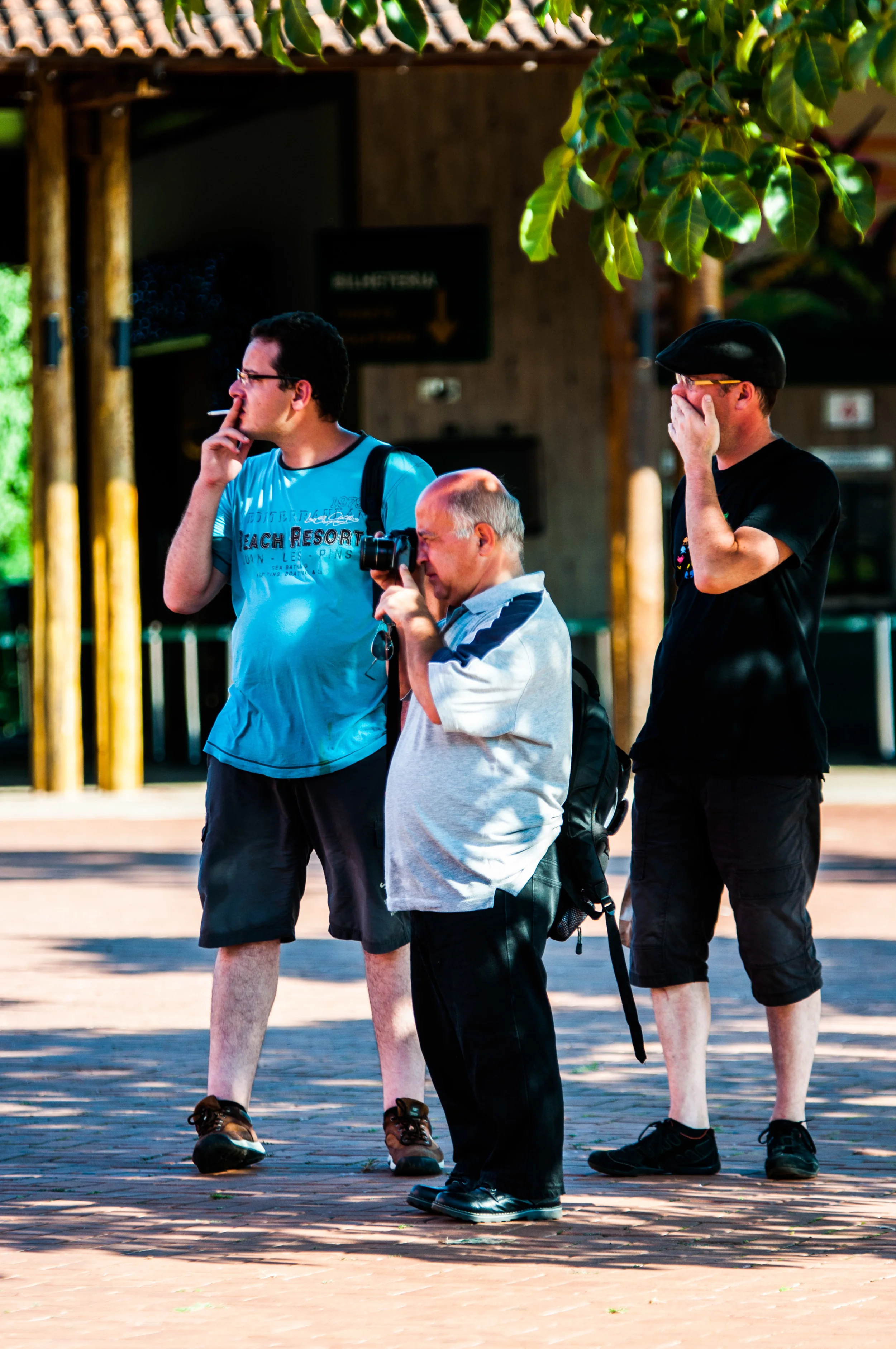 DSC_0091-2.jpg