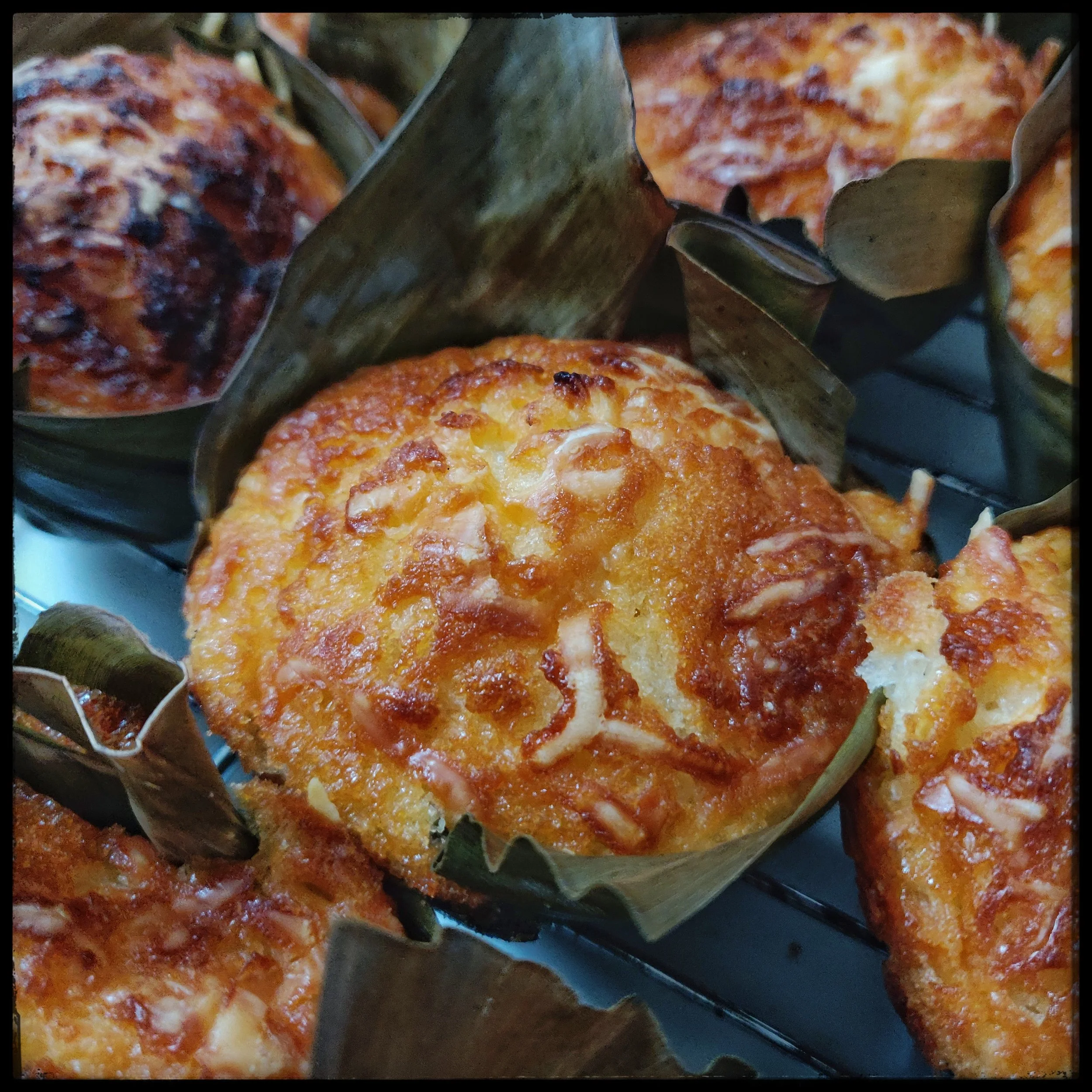 2023-09-07 20.39.47.jpeg