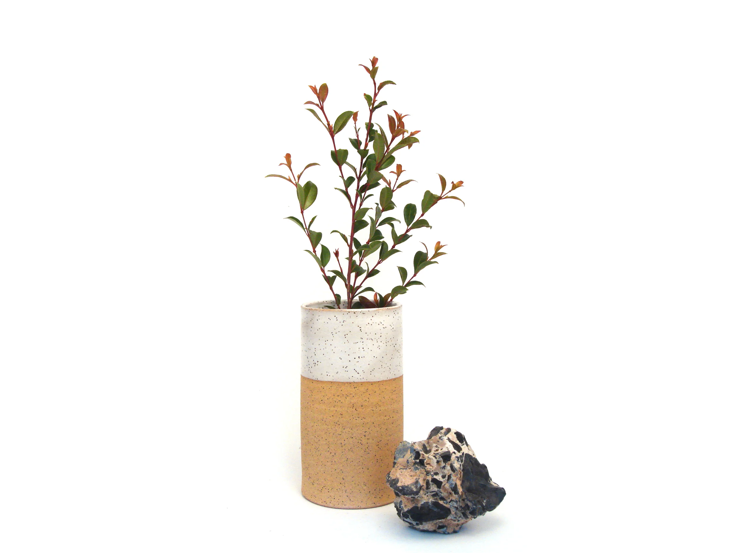 Cylinder_tall_branch_rock.jpg