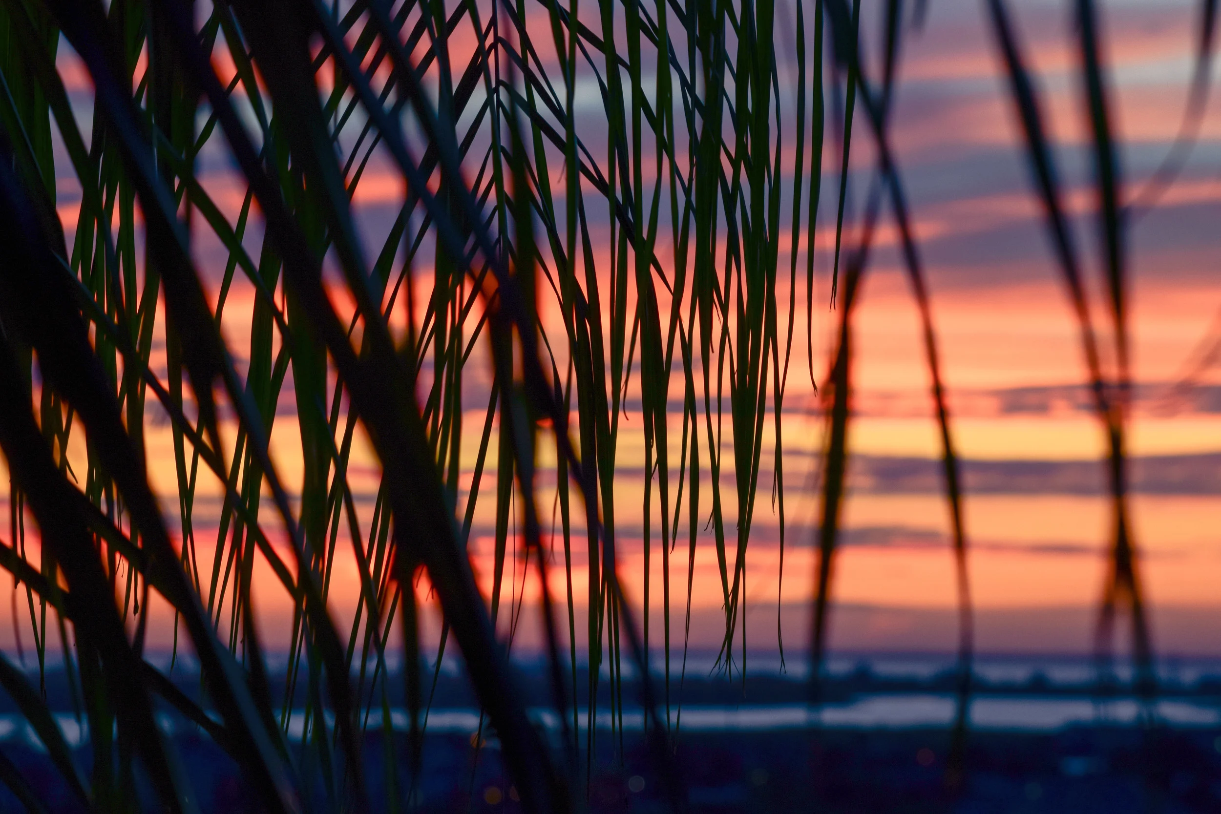 DSC_0056.jpg