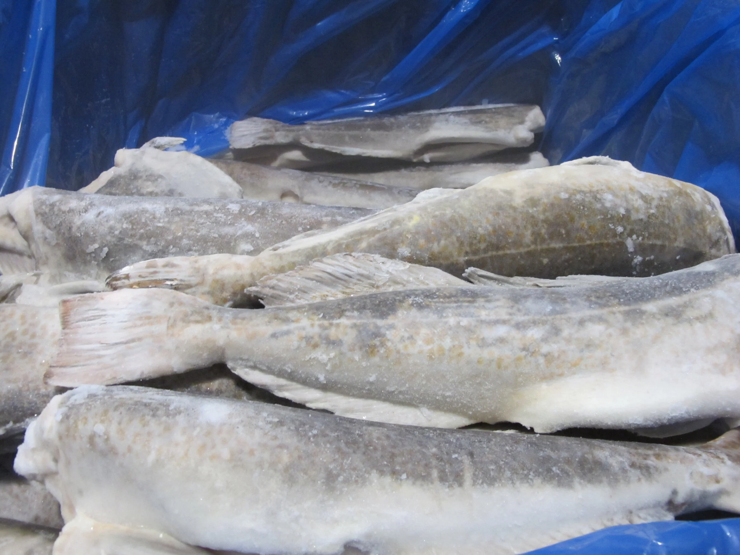 2022 Season is underway!