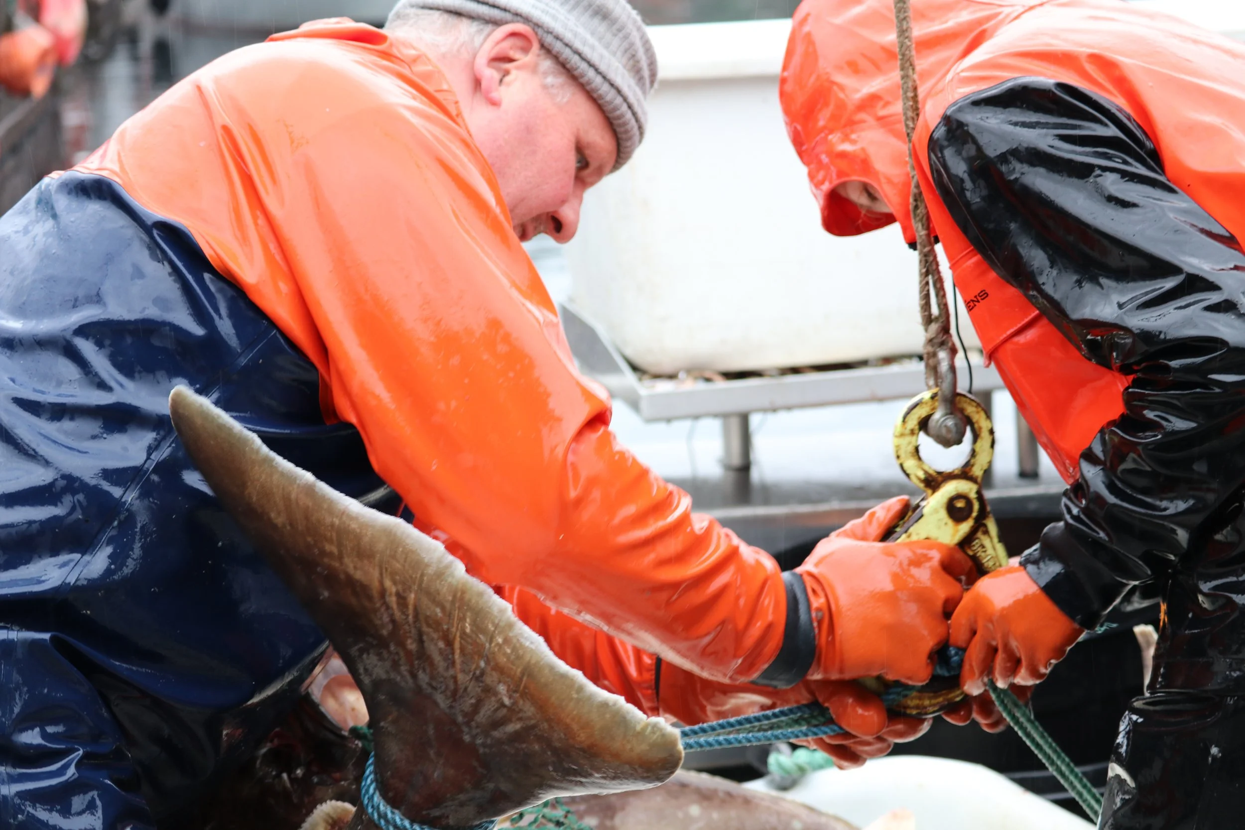 Triad Fisheries is under New Ownership