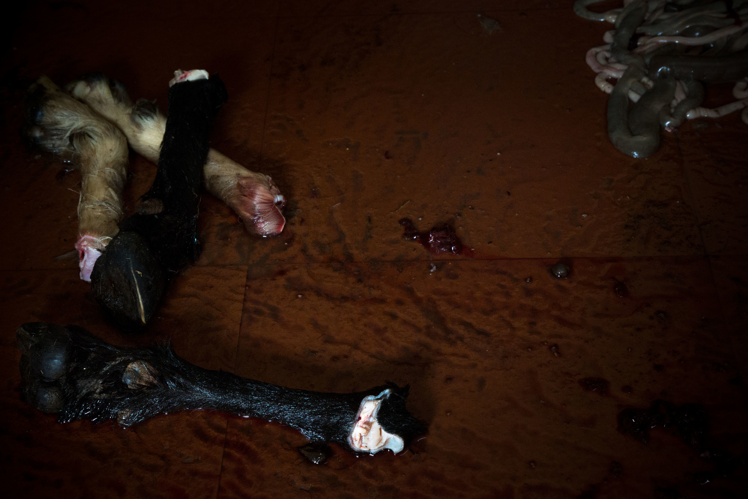 Miriam_09_Meat Markets.jpg