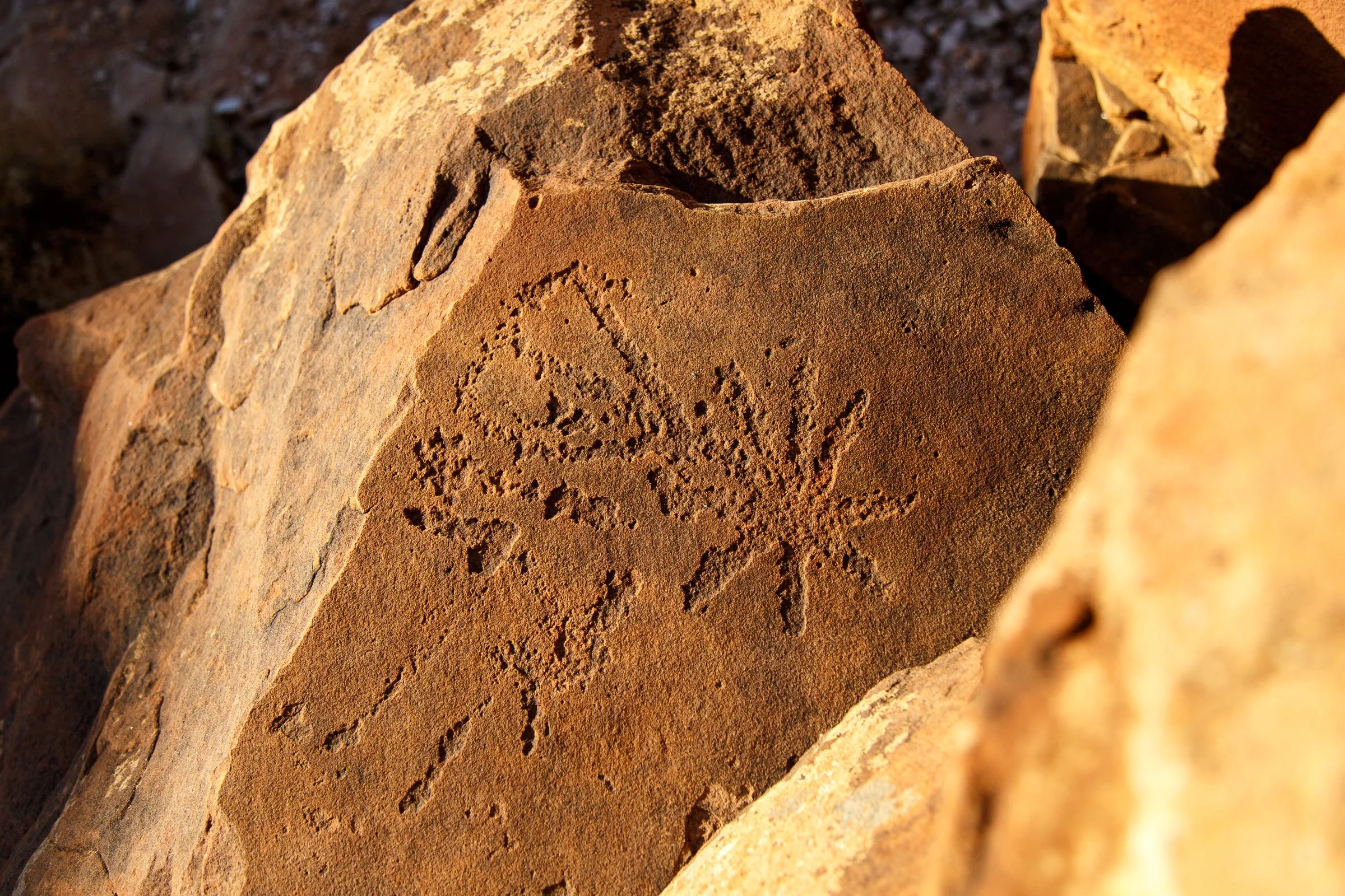 Woomera (79 of 192).jpg