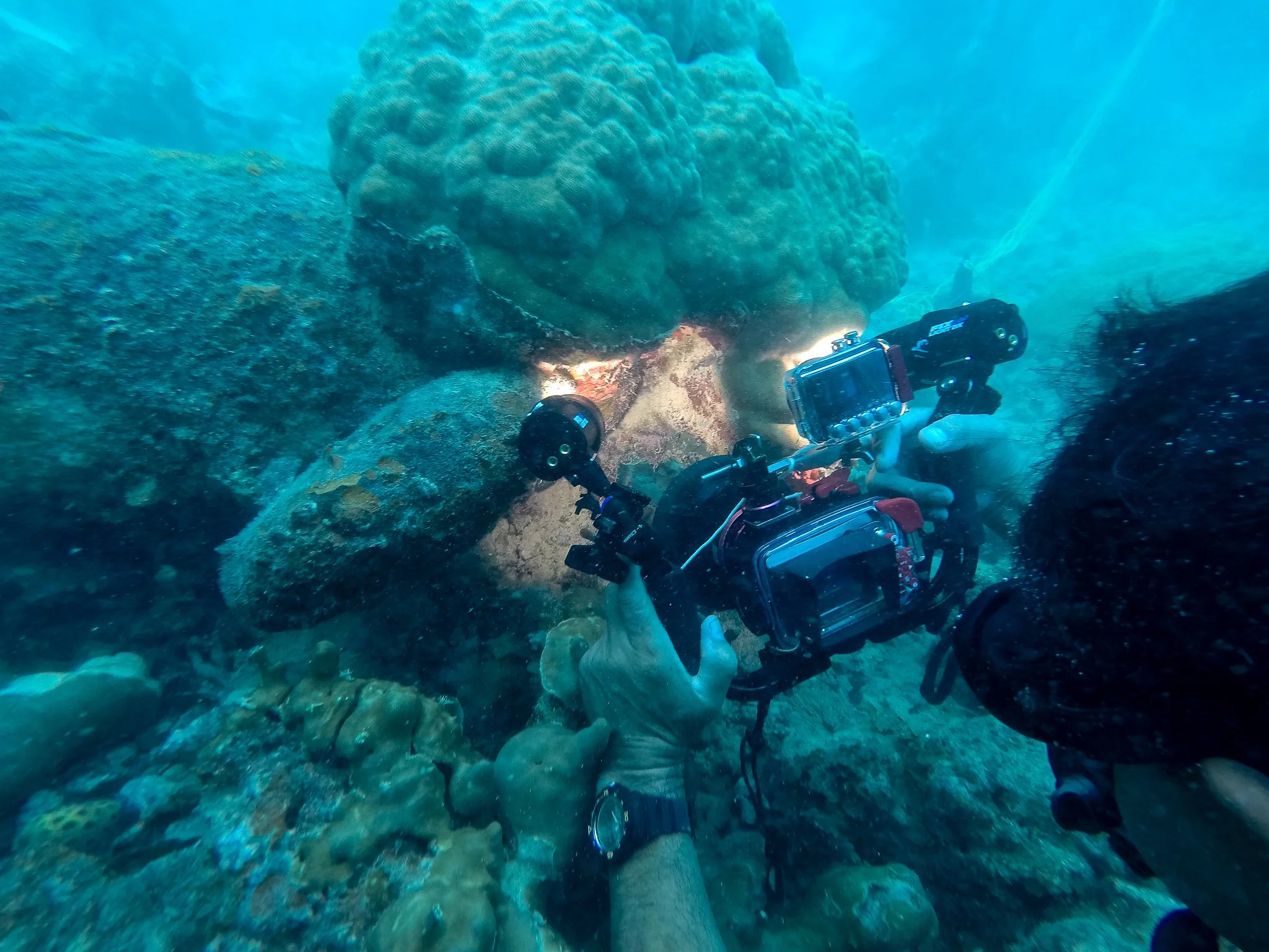 Dive JMAS 03.12.17-11.jpg