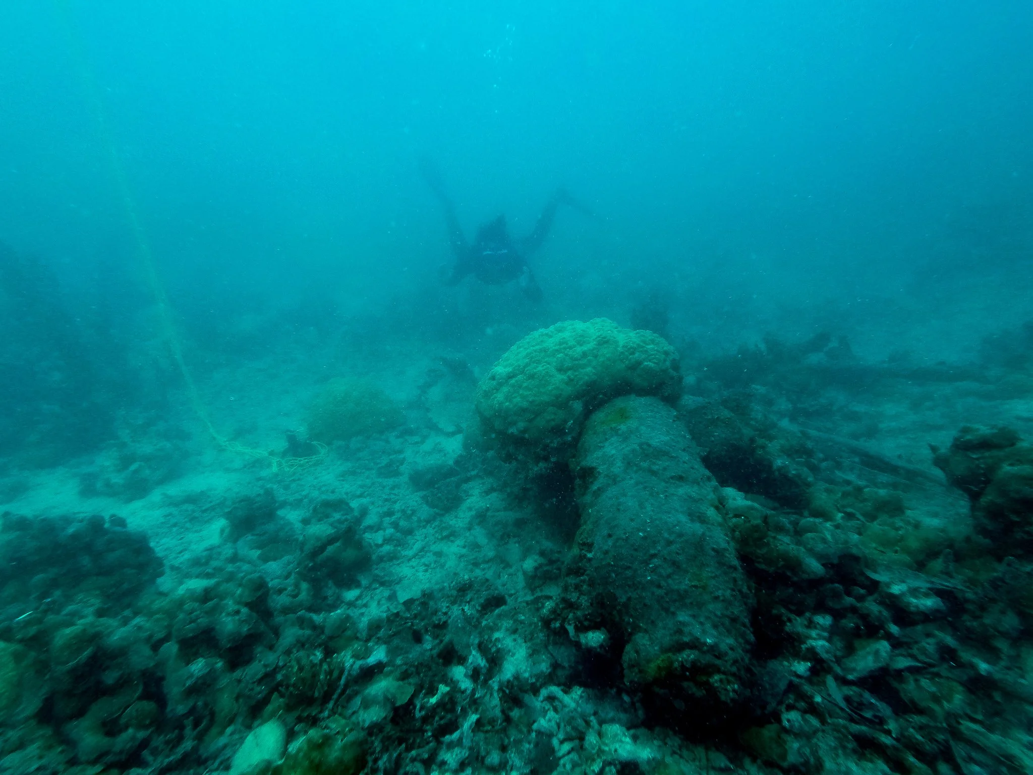 Dive JMAS 03.12.17-12.jpg