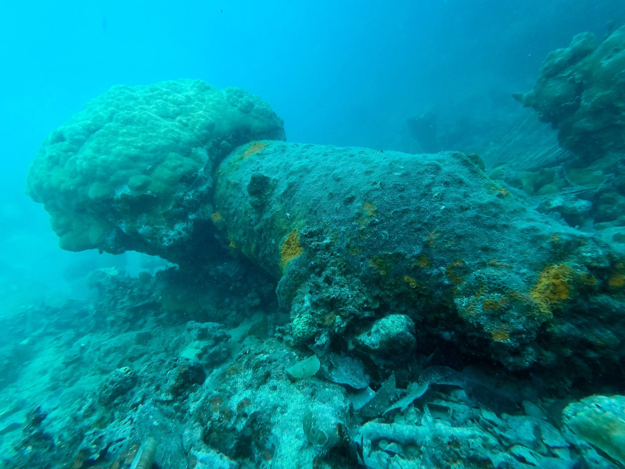 Dive JMAS 03.12.17-41.jpg