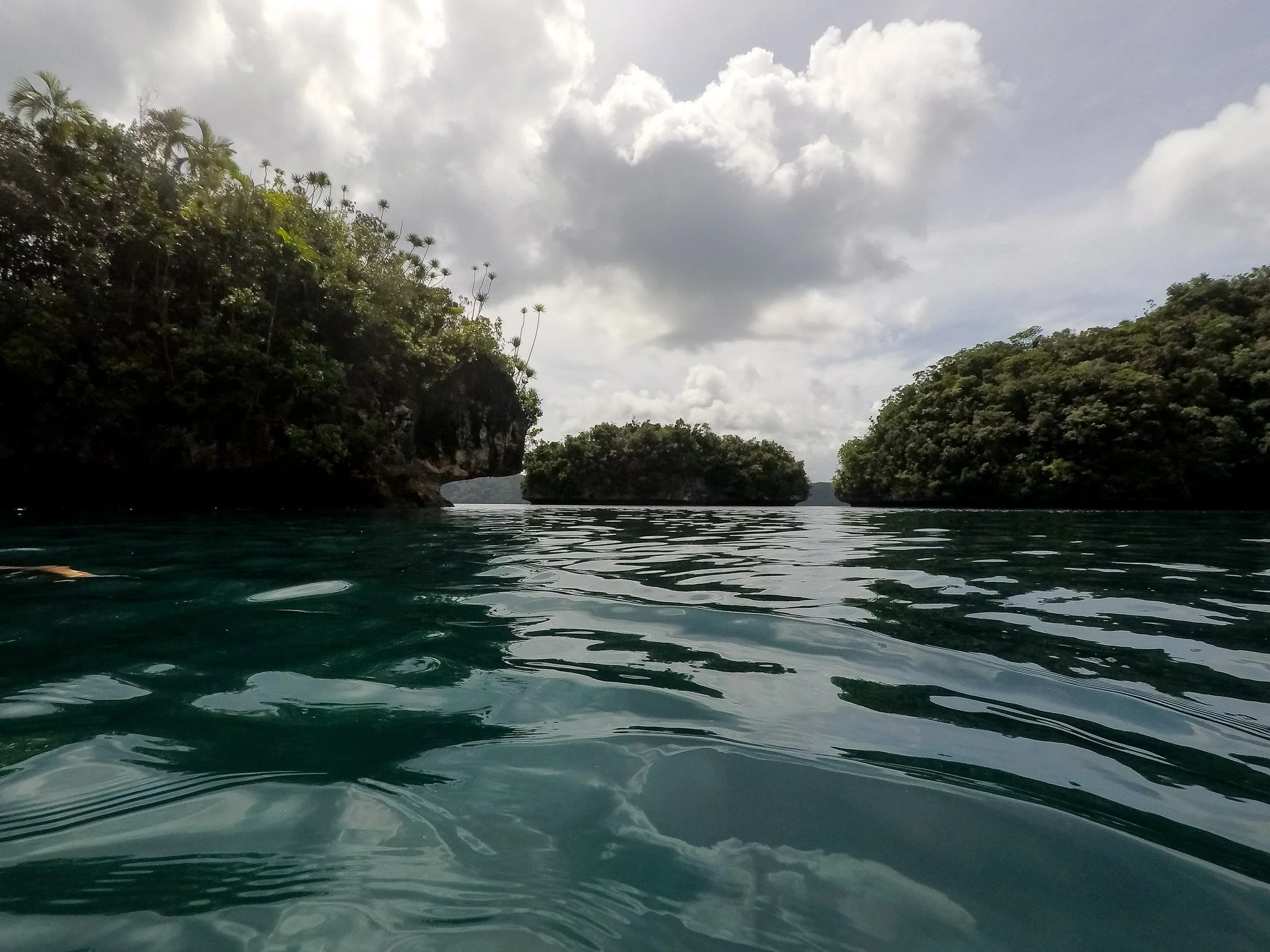 Dive JMAS 03.12.17-15.jpg