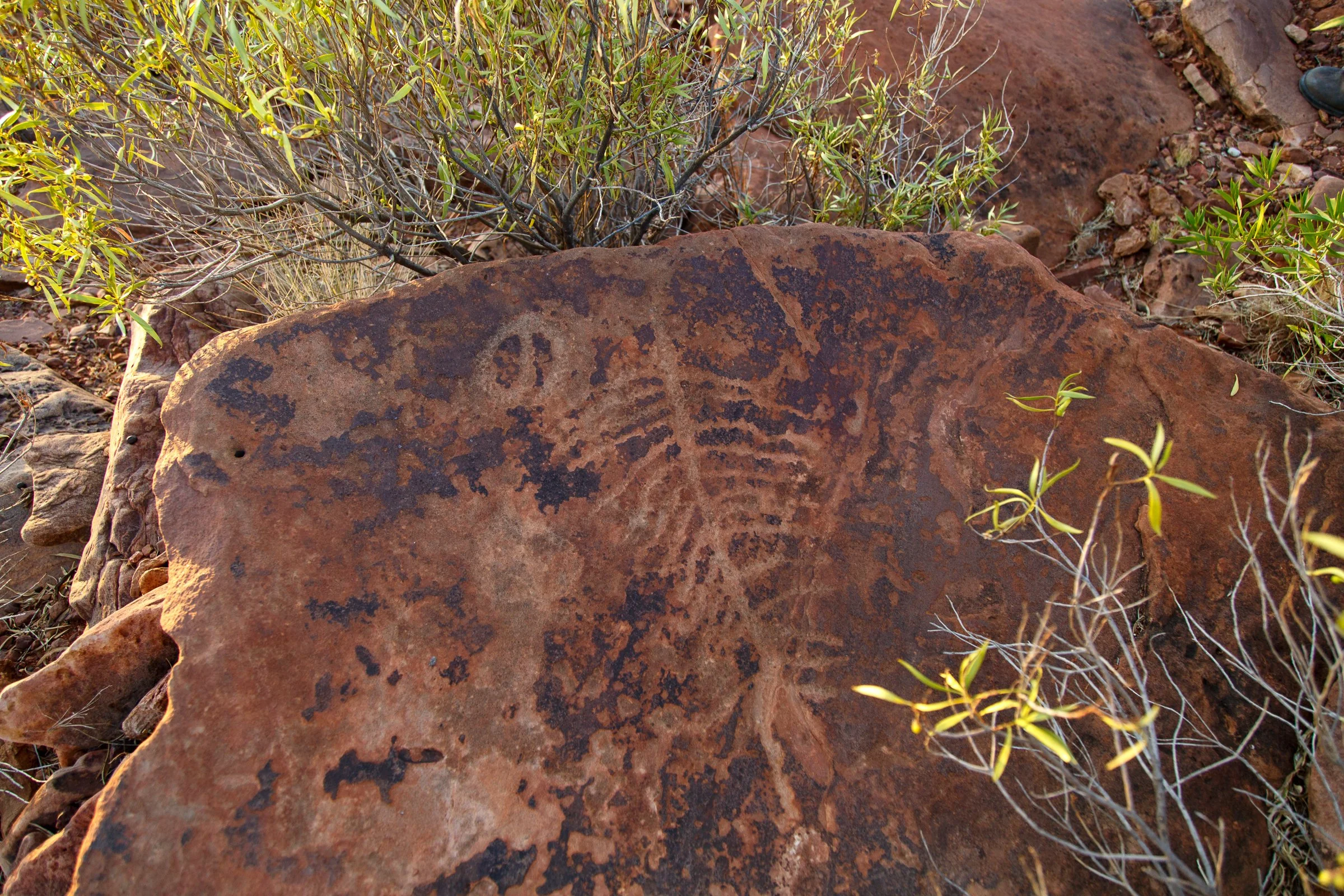 Woomera (109 of 192).jpg