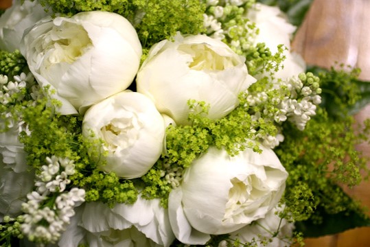 Whte peonies and greens.jpg