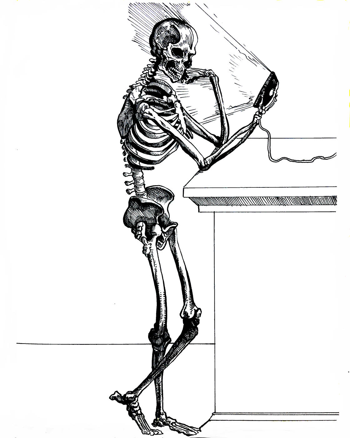 Skeleton Contemplating Social Media