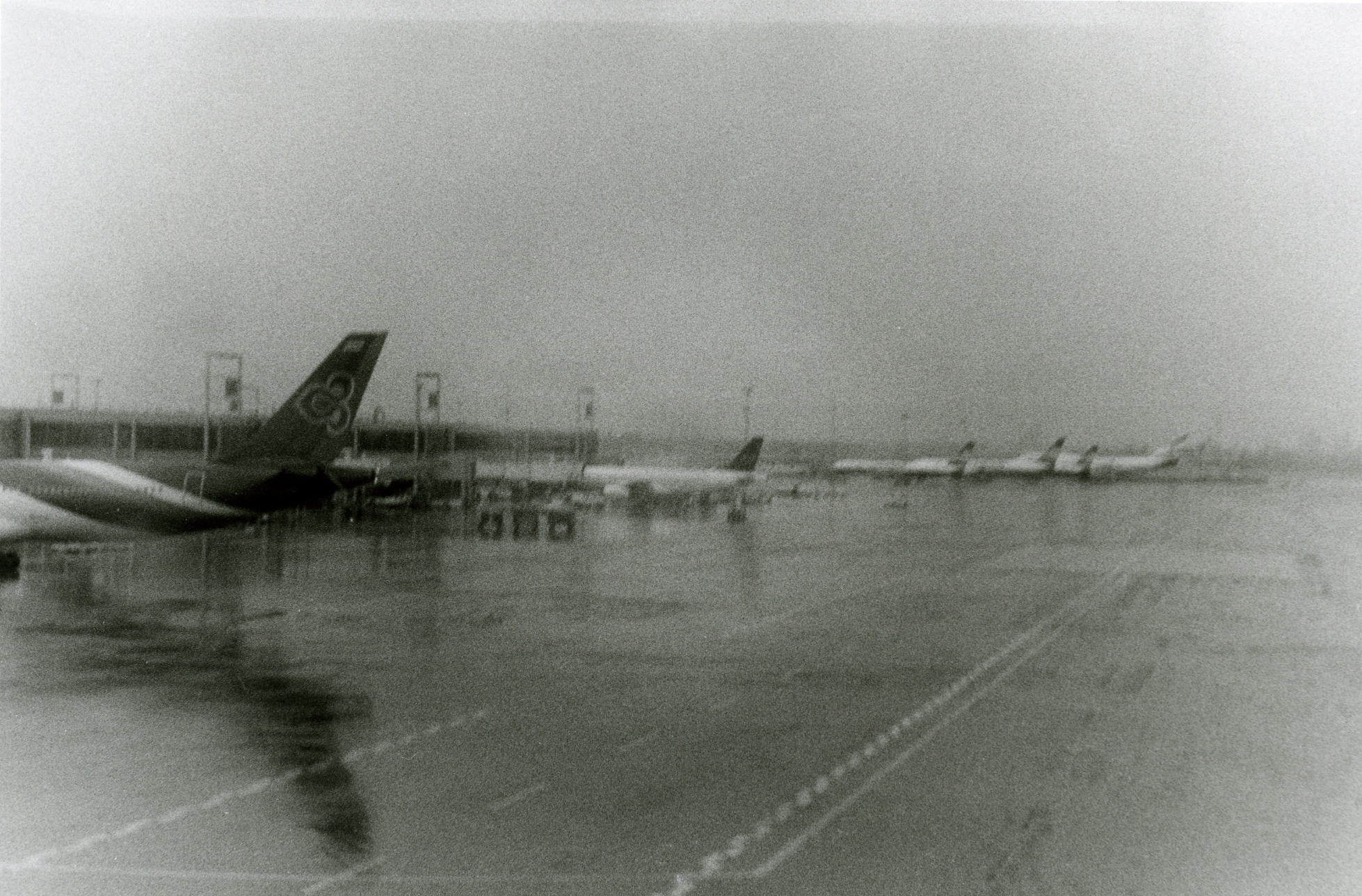 Rainy Tarmac