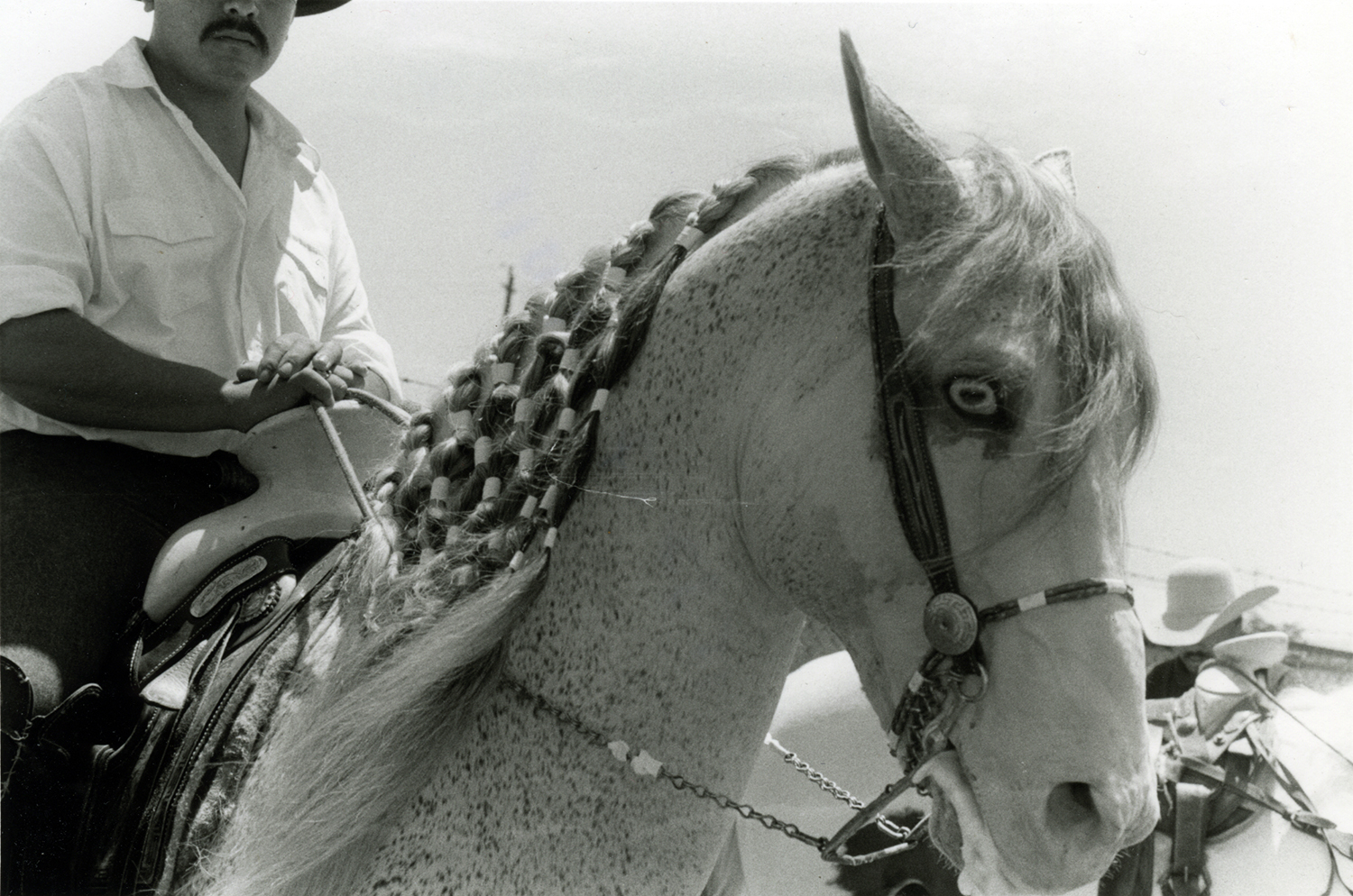 Vaquero With Horse With Plated Mane