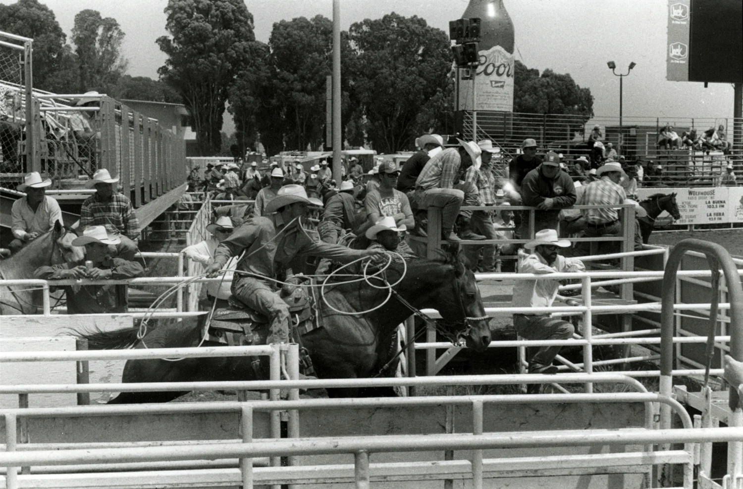 Roper Quick Start