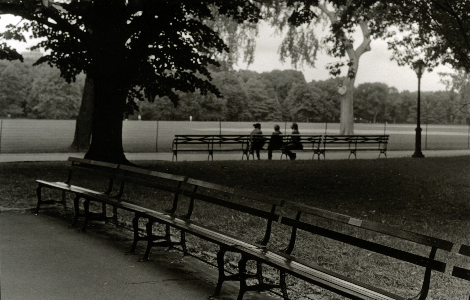 Three Lady's In the Park